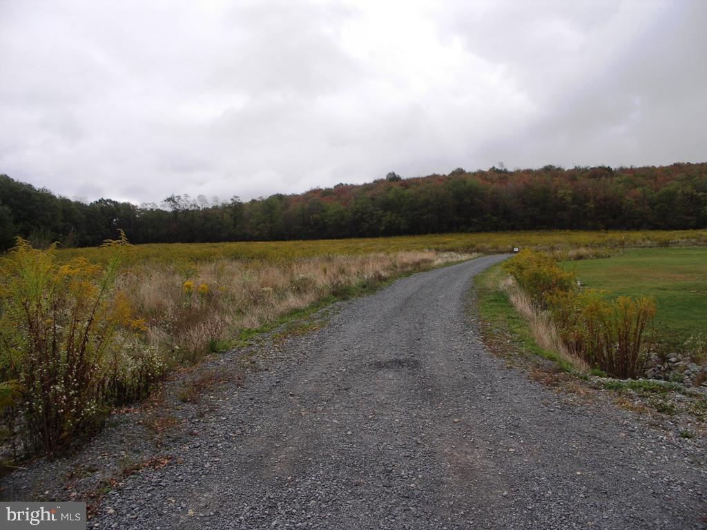 THE HOMESTEAD - Land