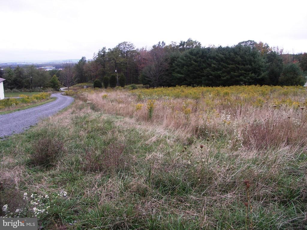 THE HOMESTEAD - Land