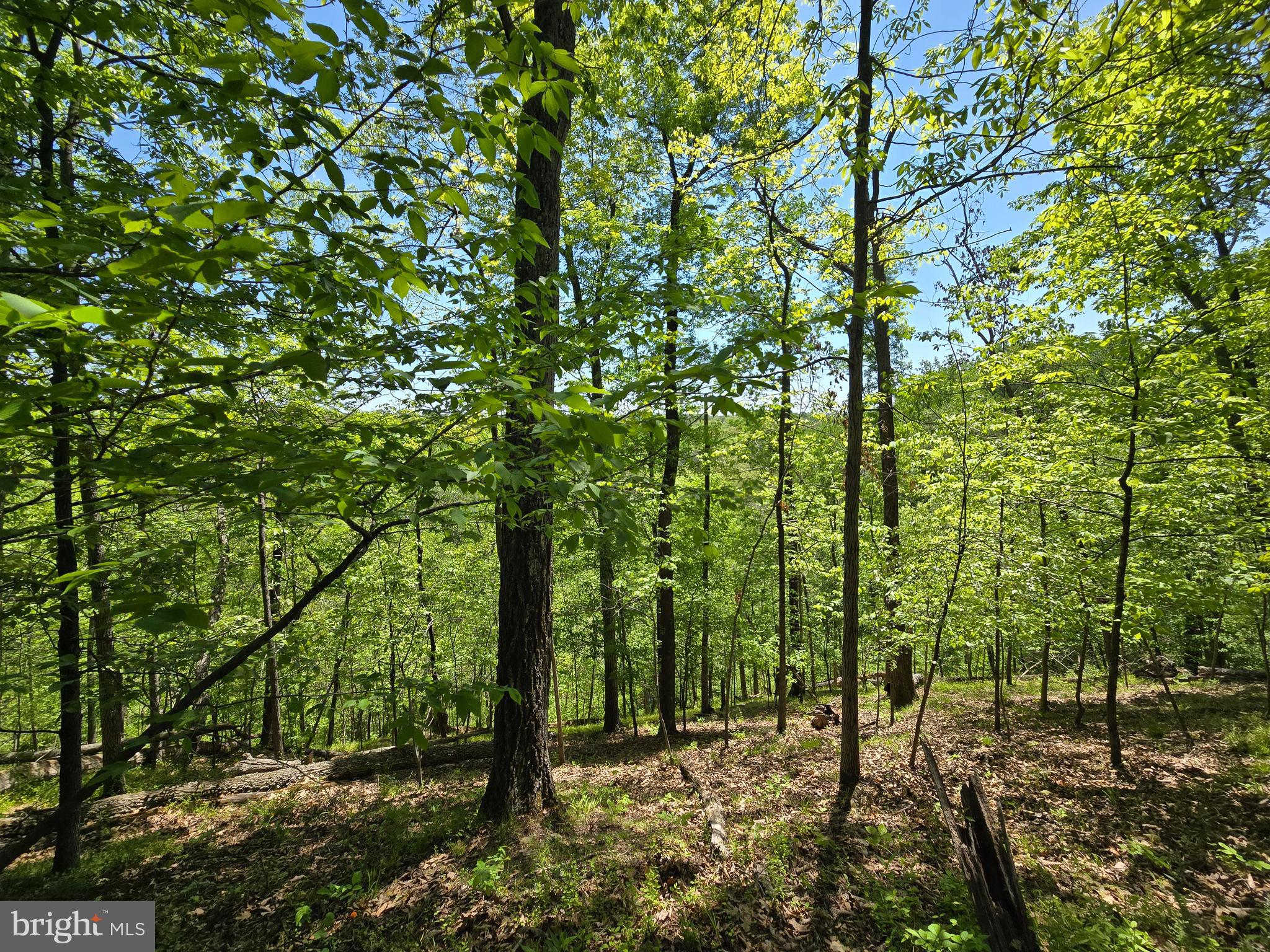 Ready to build your dream home in the highly desirable community of Lake Linganore? This peaceful lot in the Pinehurst neighborhood is just waiting for you! Bring your builder and your plans, or purchase and hold the property for a future build while enjoying access to all of the incredible amenities the community has to offer - pools, lakes with beach access, trails, tennis courts, community concert series, food truck and farmers markets, private fireworks and so much more! Don’t miss out on your chance to have it all in this amazing location!