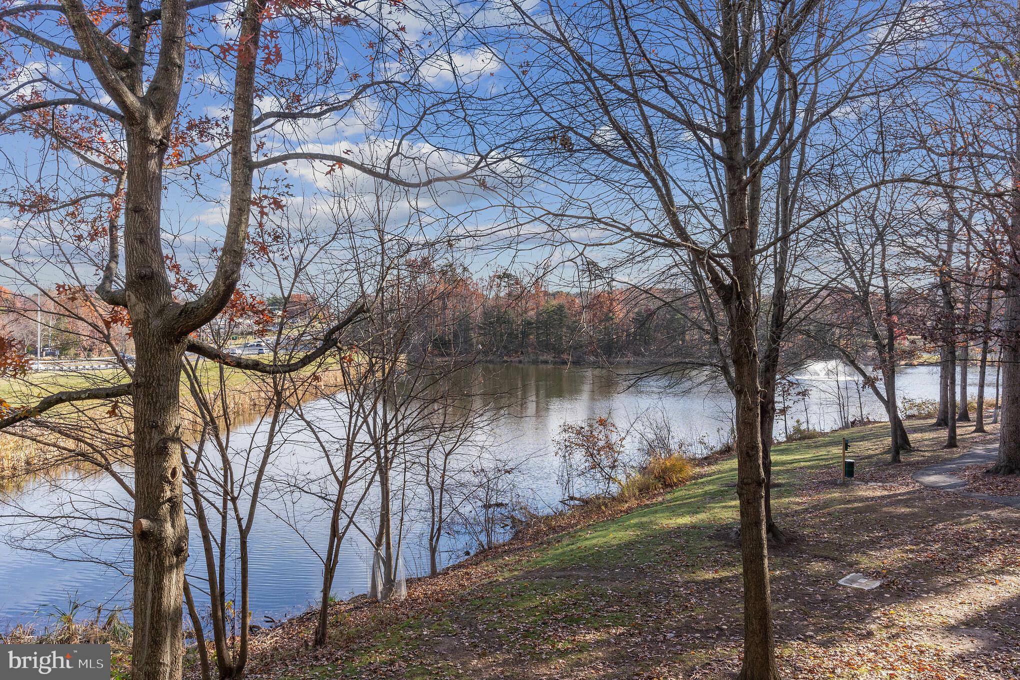 EDGEWATER AT TOWN CENTER - Residential