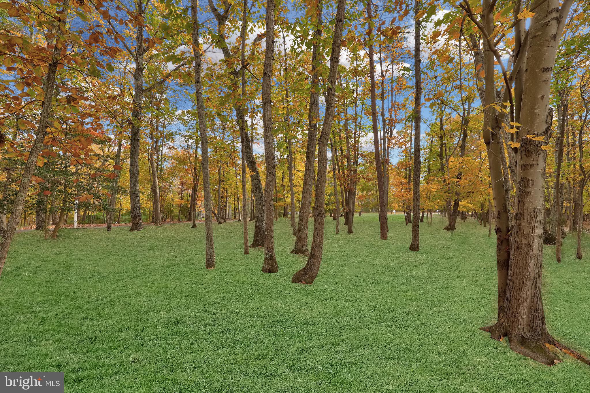ESTATES OF CHANCELLORSVILLE - Residential