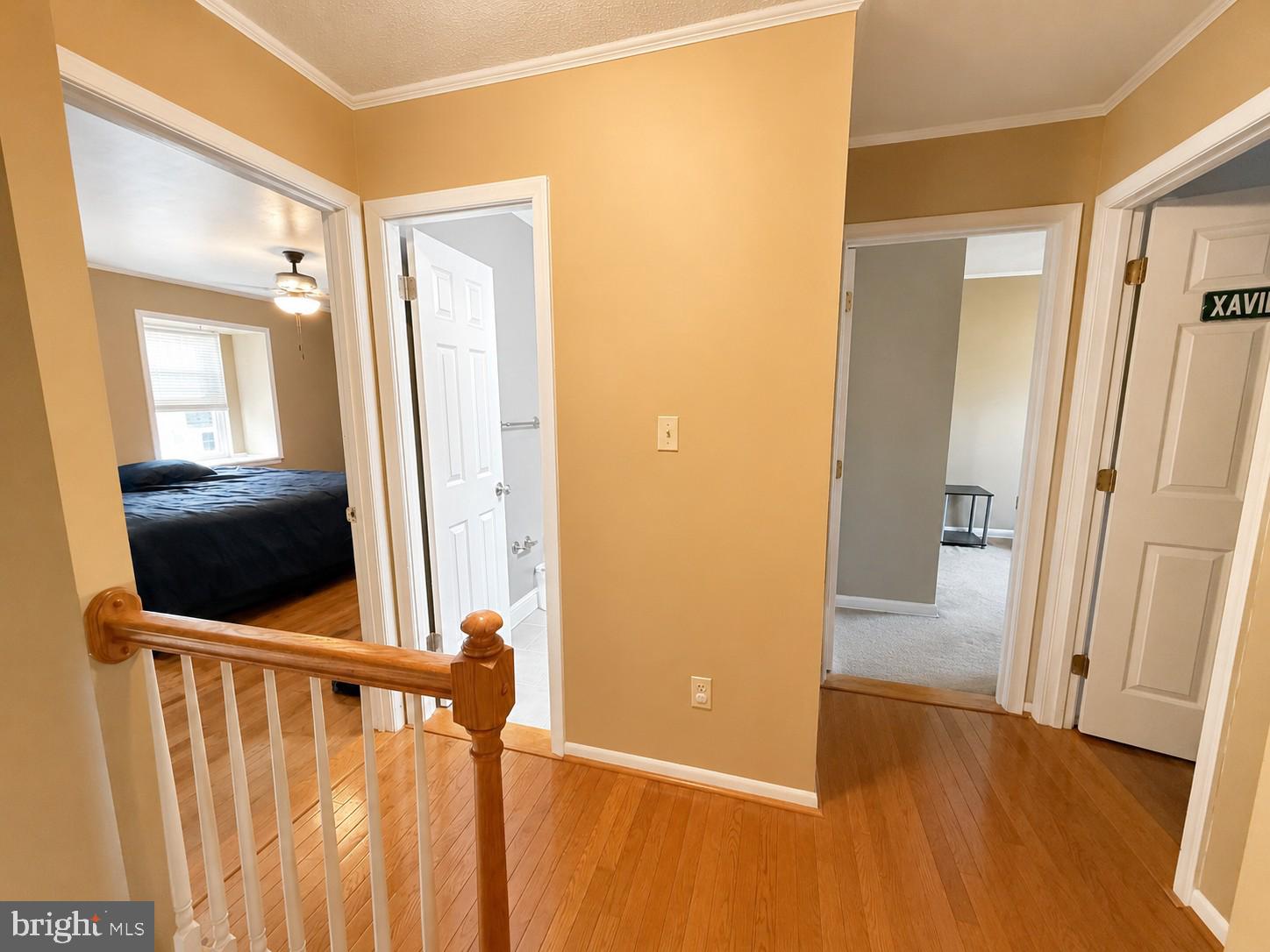 CHESTNUT WOODS - Residential