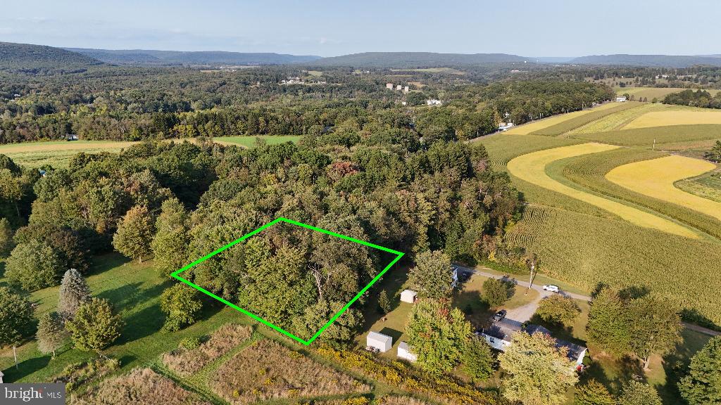 One Flat Wooded acre with access to electricity, and 200 feet of frontage.
No HOA or restrictions. 
Nearby Tuscarora and Locust Lake State Parks, Jim Thorpe and the iconic Lehigh Gorge Scenic Railway.
Naturally beautiful area with stunning views all around, known for it's charming autumn foliage.