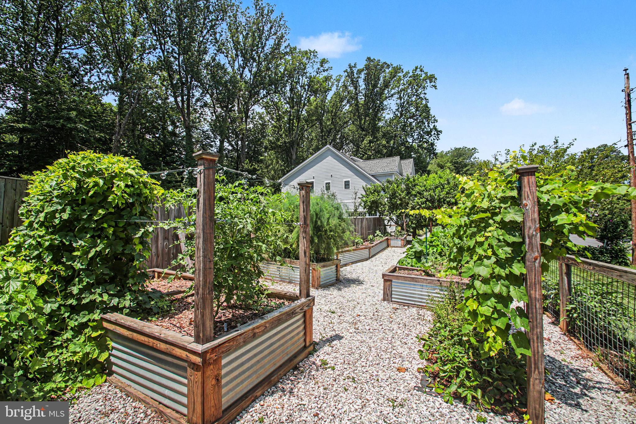 ORCHARD VIEW - Residential