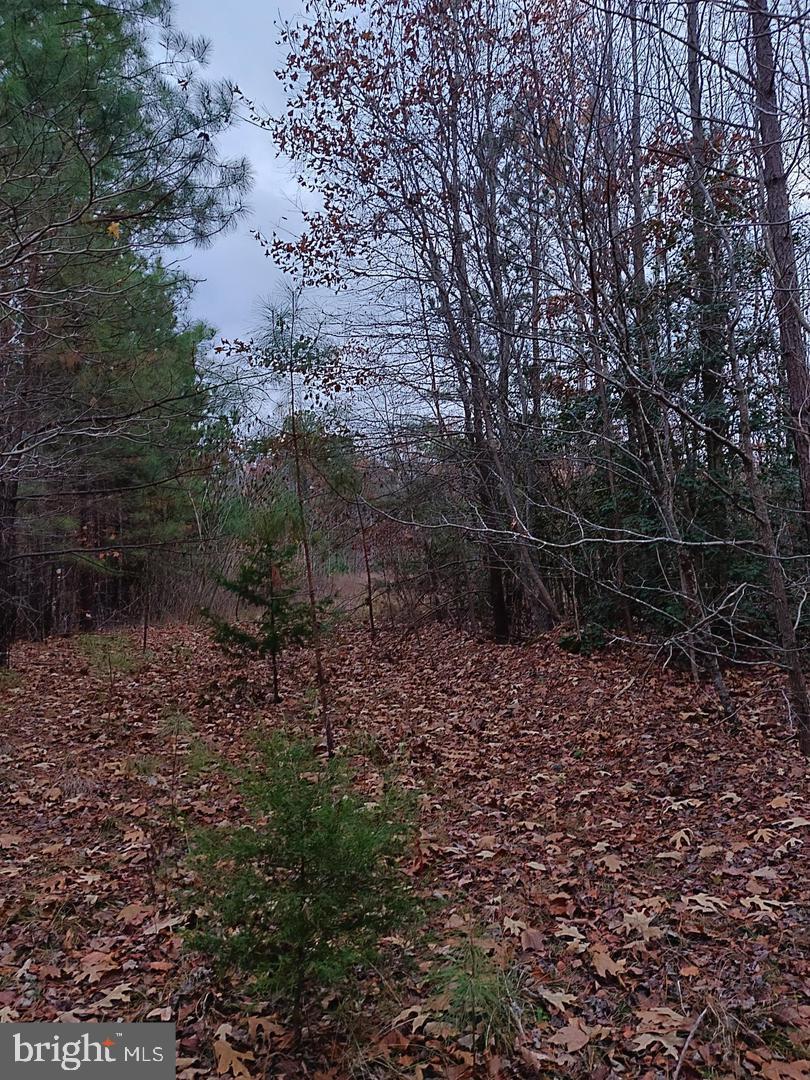 Discover this exceptional 6.25-acre property with significant potential, ideally positioned with frontage on Route 1. Its location offers excellent connectivity, nestled between Fredericksburg and Richmond, and easily accessible via I-95 (Exits 110 and 104). While currently zoned RP, this parcel is a prime candidate for commercial rezoning, in line with Caroline County's Comprehensive Plan for the Route 1 corridor. This offers a distinct advantage, allowing for low property taxes during your holding period until you're ready to develop. Owner agent. Seller financing possible. Contact us for any inquiries.