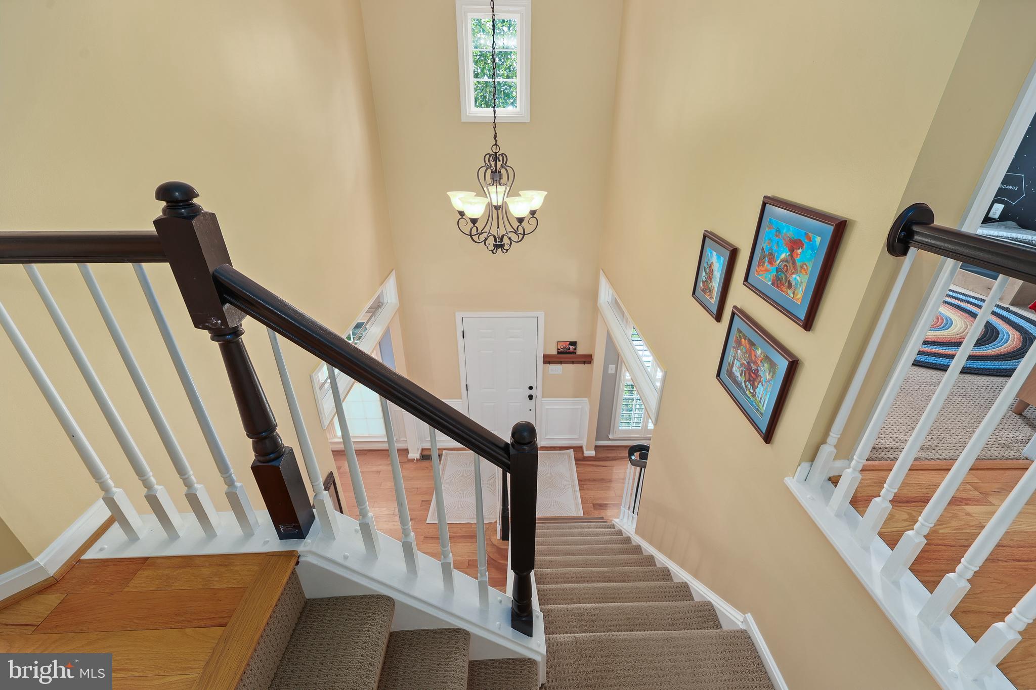 BELMONT GREENE - Residential