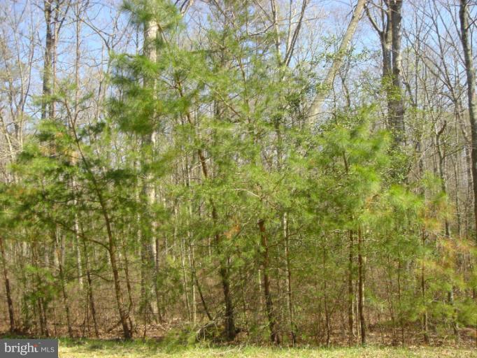 Recorded perc.  Nice 13+ acre wooded lot just 10 minutes south of the base.  No HOA!  Enjoy country living yet convenient to town.  Perc is recorded and plat is posted to listing documents.