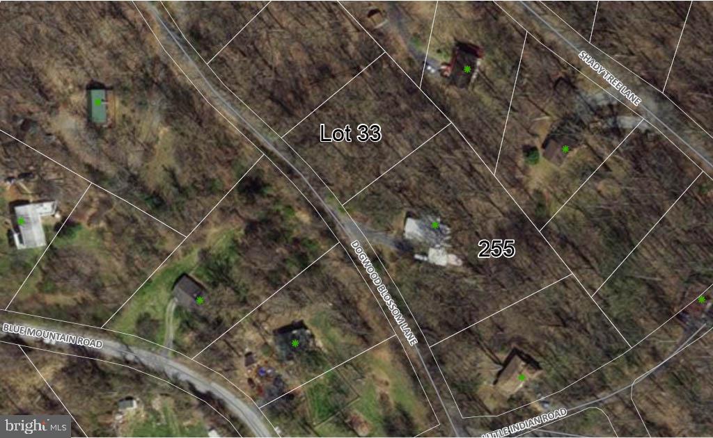 Ready to build!  3 Bedroom Alternative Septic Certification Letter.  Build your dream home or weekend getaway.   Community amenities include Deer Lake and Blue Mountain Lodge. High-speed internet available. Convenient commuter location just minutes to I-66, close to hiking, wineries, golf, restaurants, and the Town of Front Royal. Situated on a 0.5-acre lot with ample off-street parking. Property is in a Sanitary District and fees are paid with real estate taxes.  Covenants and restrictions apply