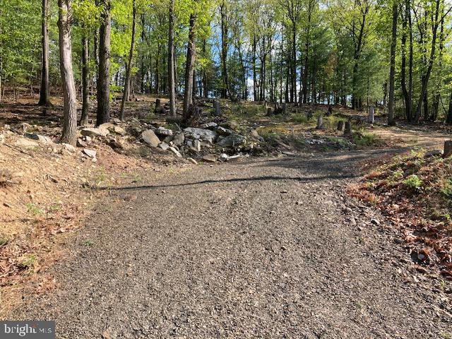 Get ready to build!  Perc approved oversized .80 ac. lot with driveway in place in the beautiful, gated community of Lake Wynonah.  Bring your own builder and get ready to live like you're on vacation every day.  Easy access location with first right on Navajo to Papoose located @1 mile down the road.  This lot is backed by agricultural land giving you that privacy factor.    Lake Wynonah has two gorgeous lakes great for boating, fishing, waterskiing, paddleboarding and more.   The community also includes a clubhouse/lodge with bar and dining,  swimming pool, tennis, pickleball and basketball courts, playgrounds and more.