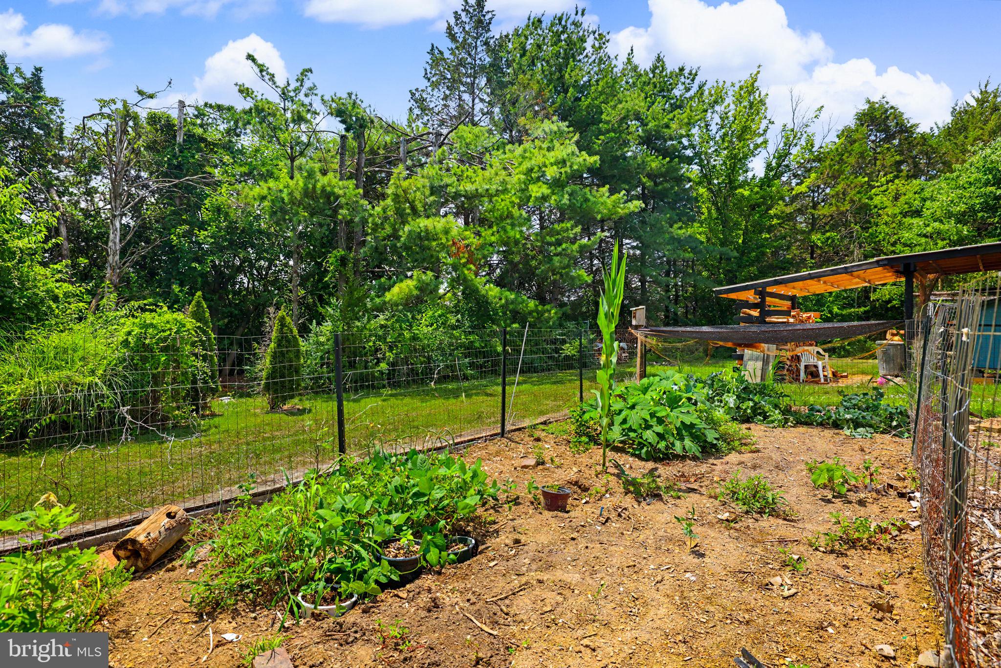 LYNN HEIGHTS - Residential