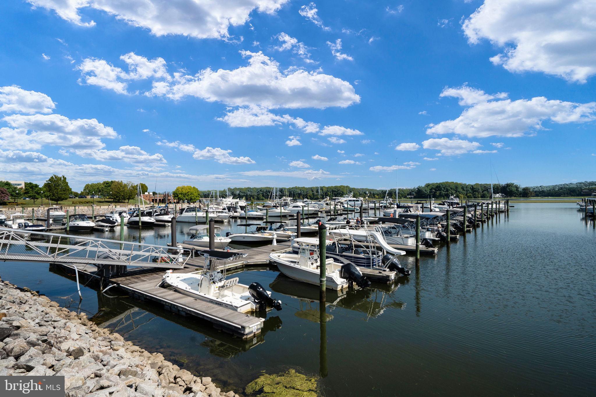 BELMONT BAY - Residential