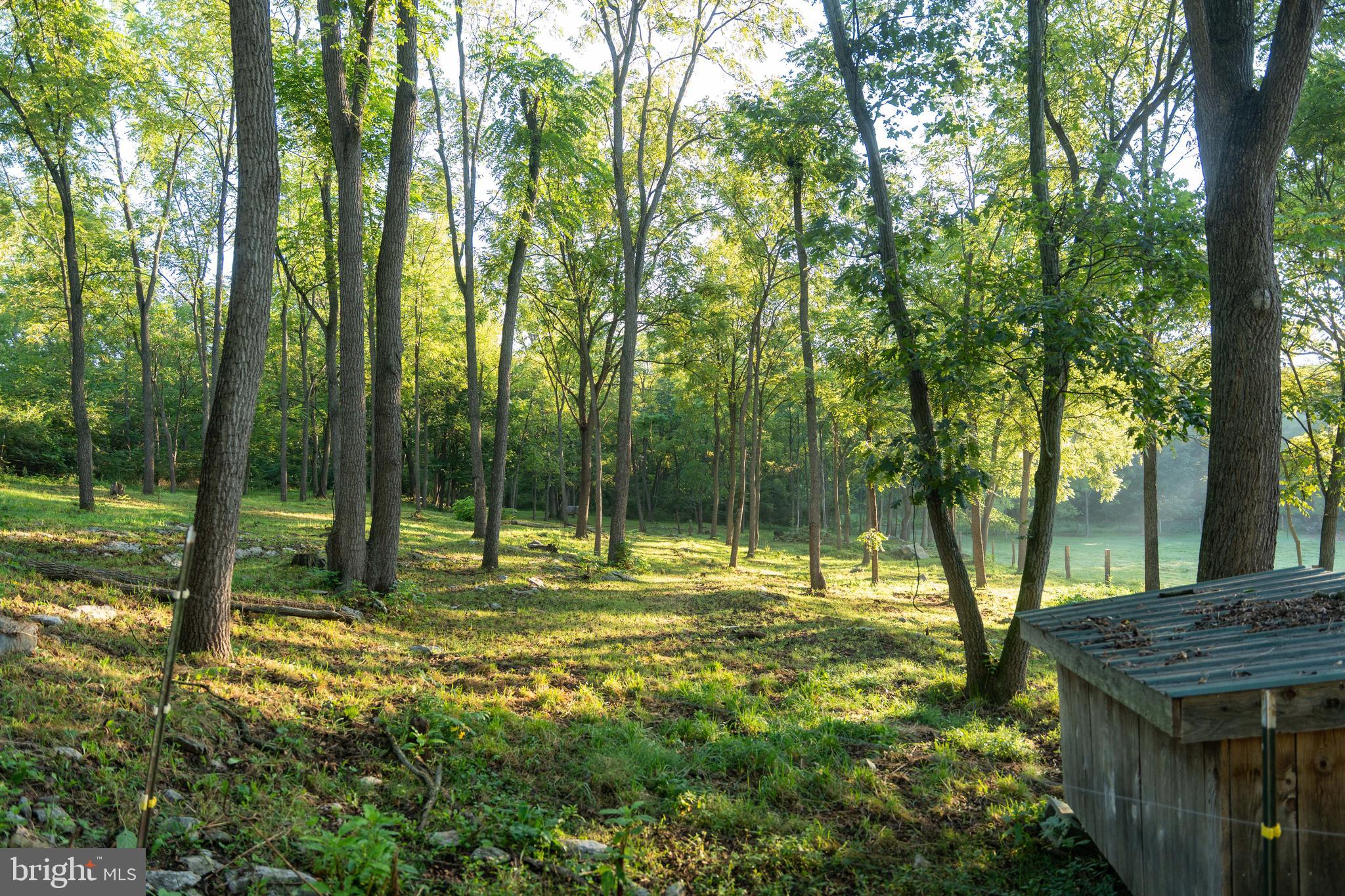 WEST PENNSBORO TWP - Farm