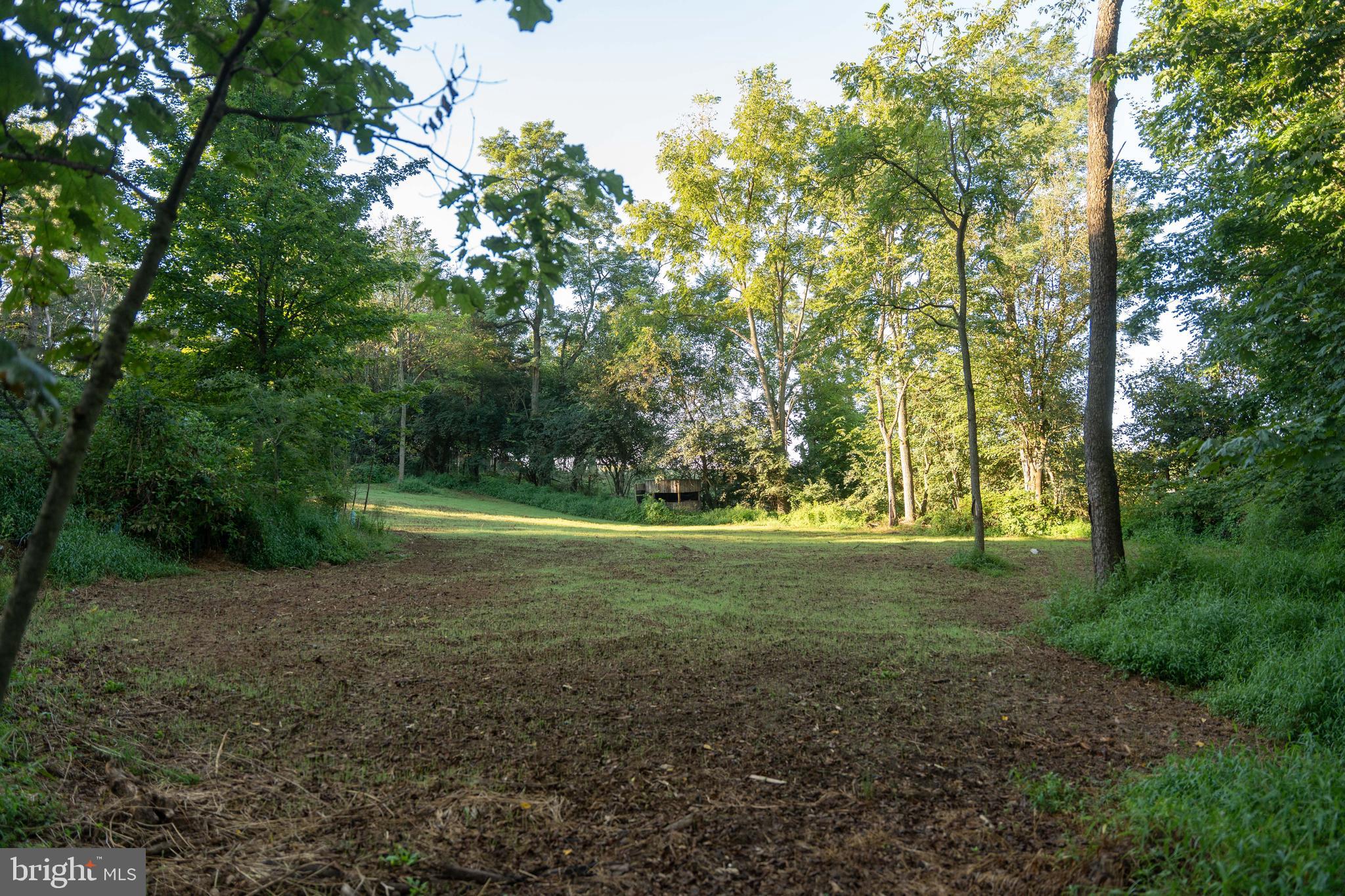 WEST PENNSBORO TWP - Farm