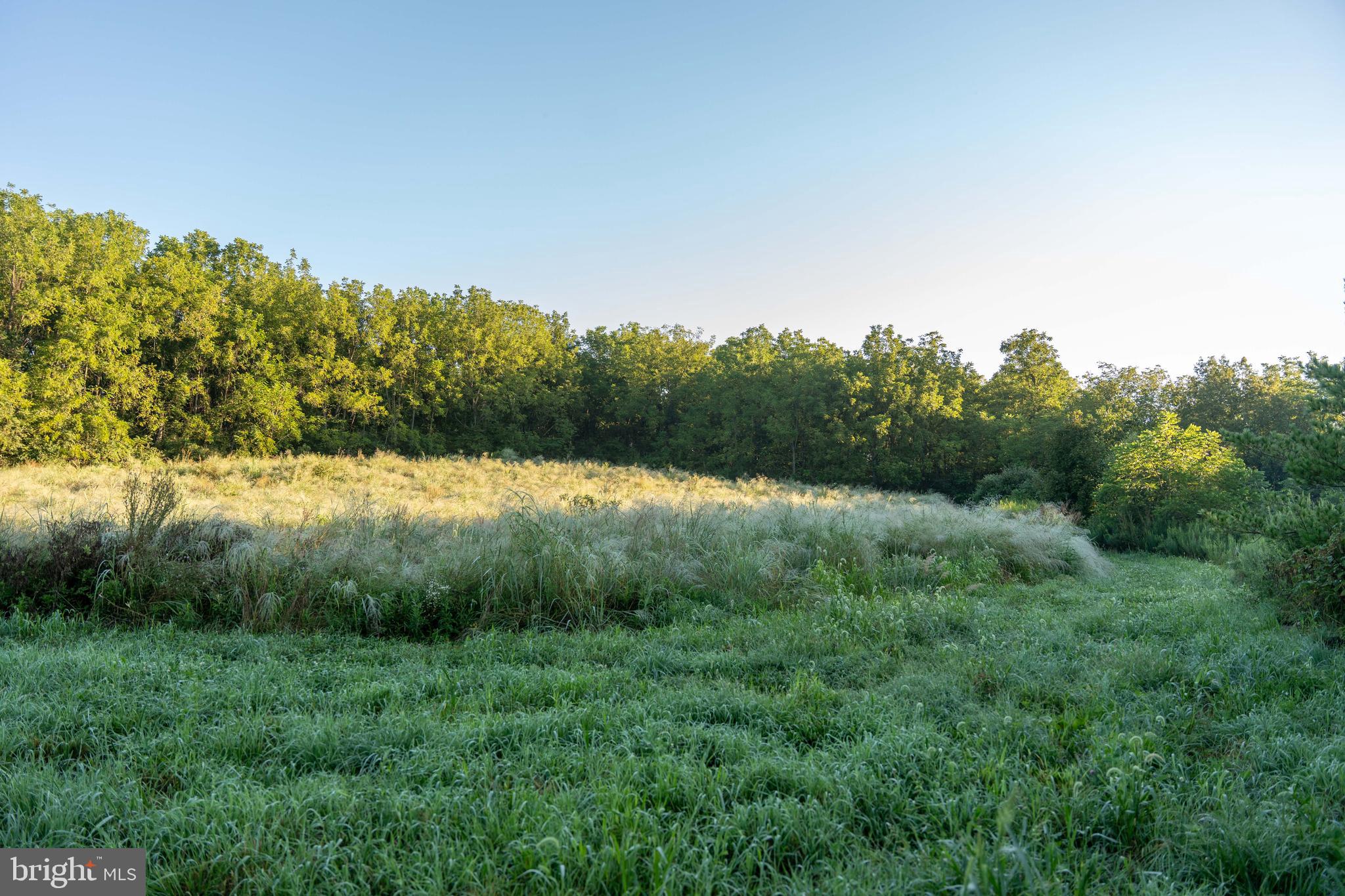 WEST PENNSBORO TWP - Farm