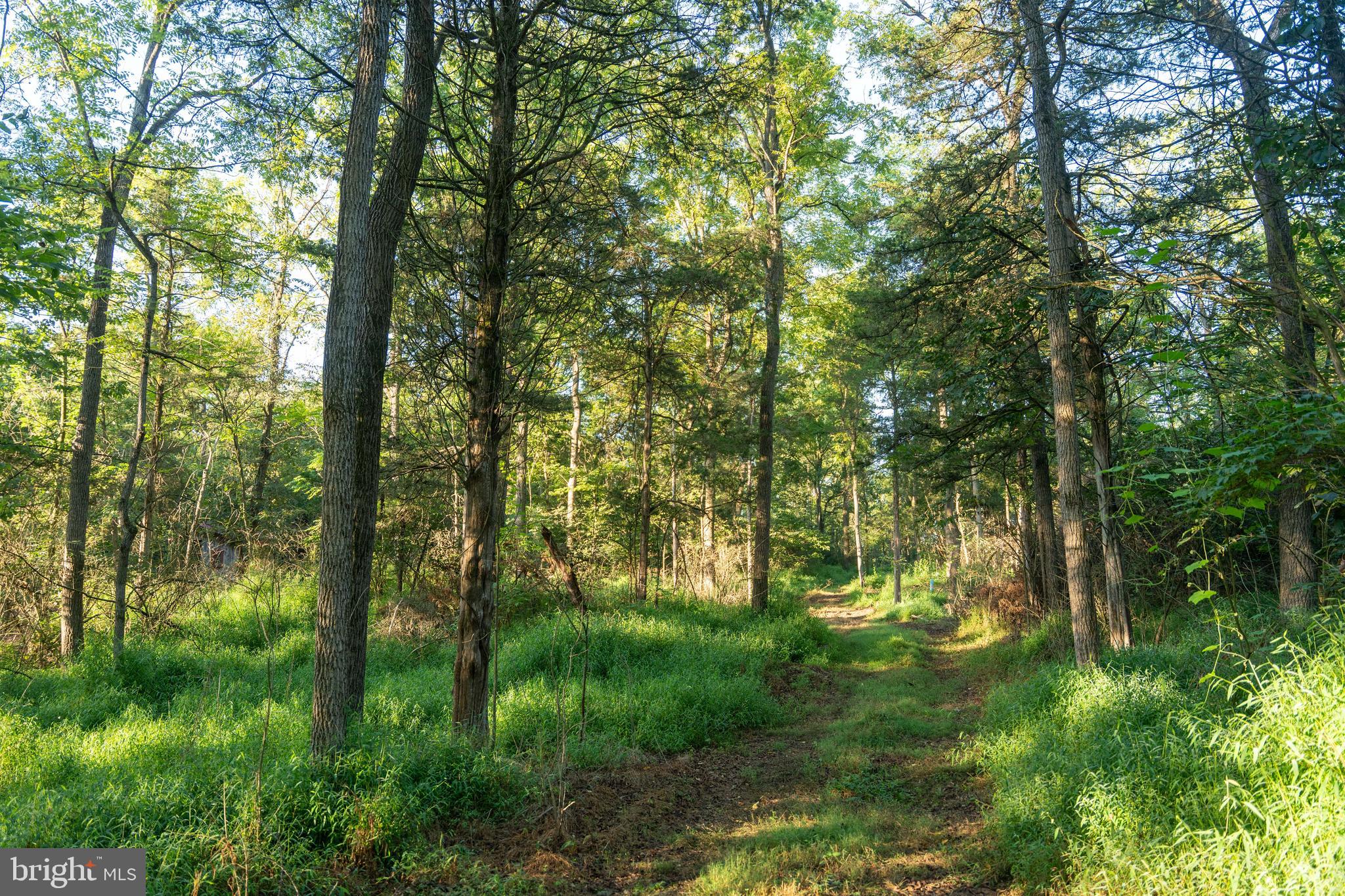 WEST PENNSBORO TWP - Farm