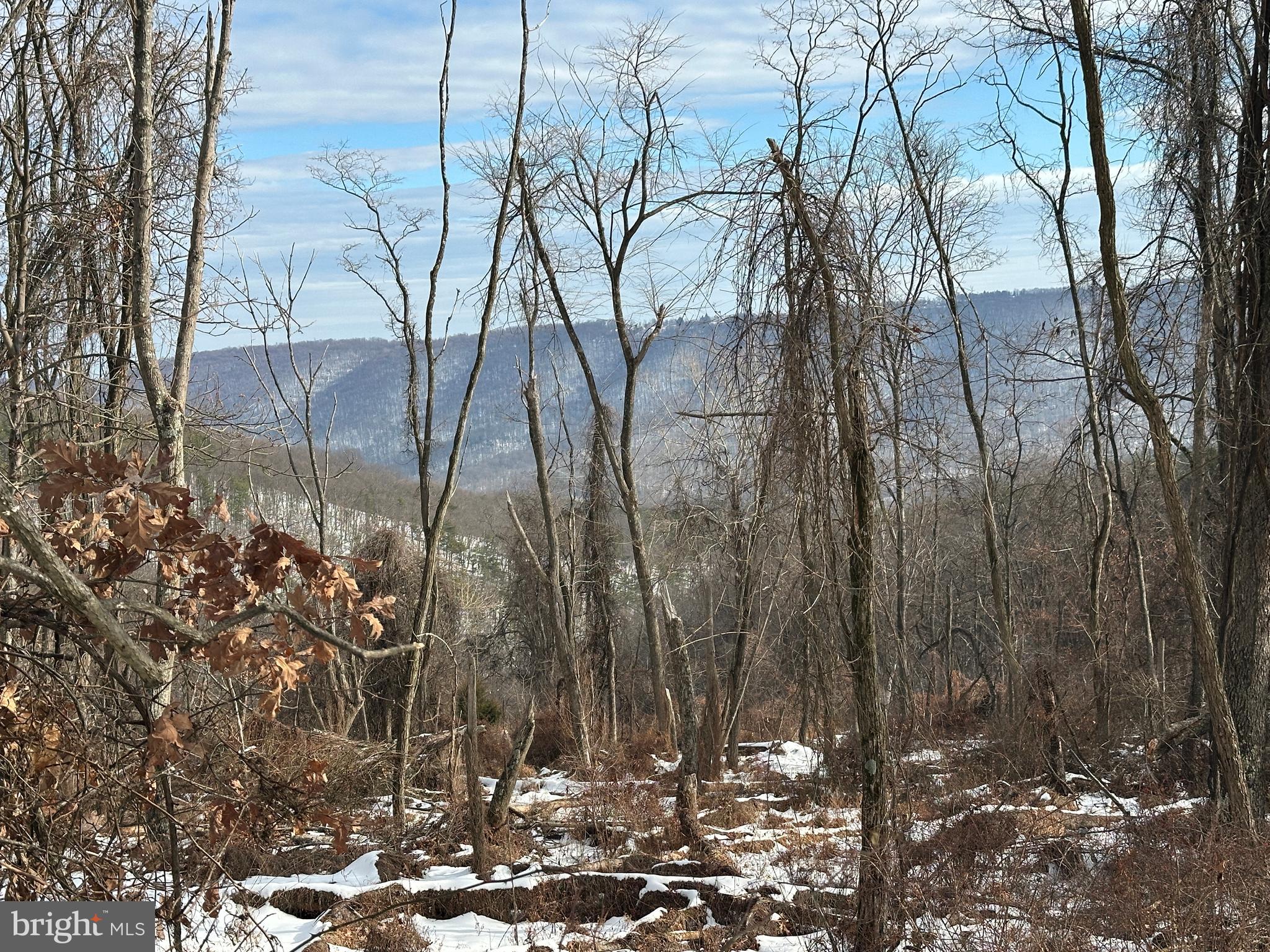 BLUFFS ON THE POTOMAC - Land