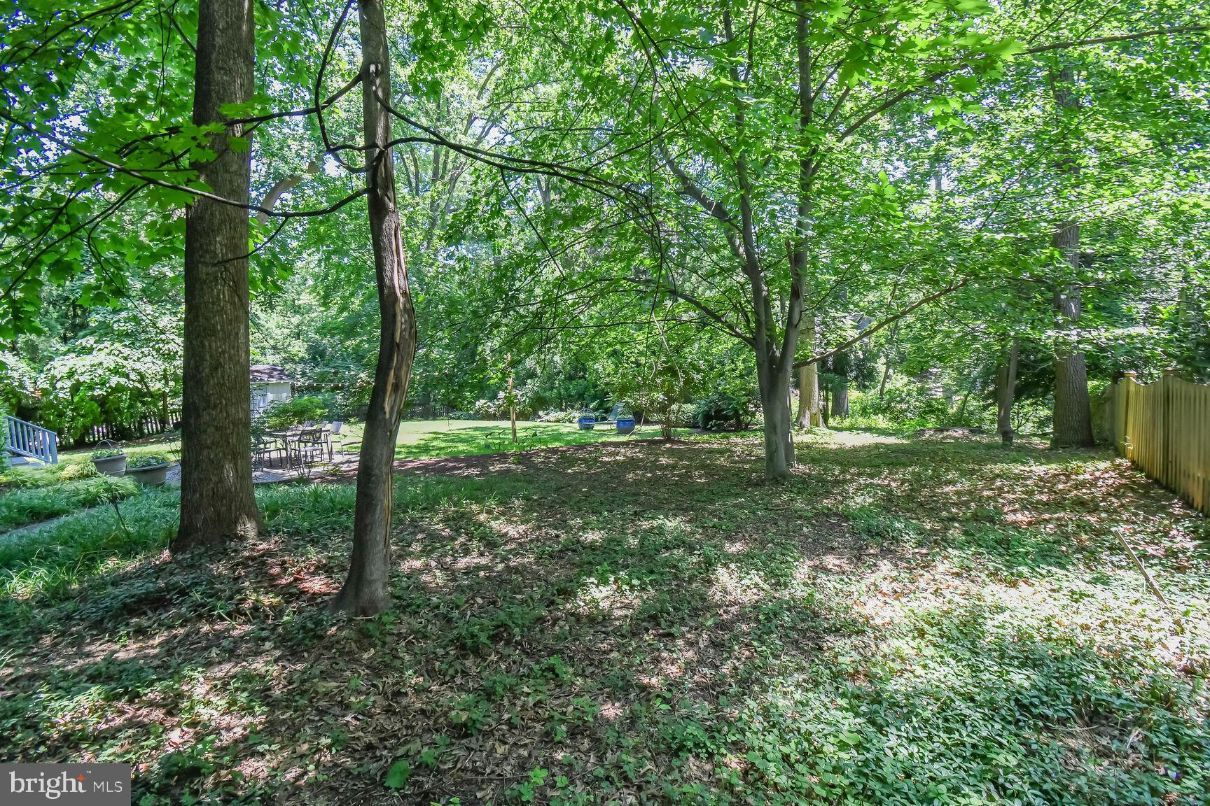 TAKOMA PARK - Residential