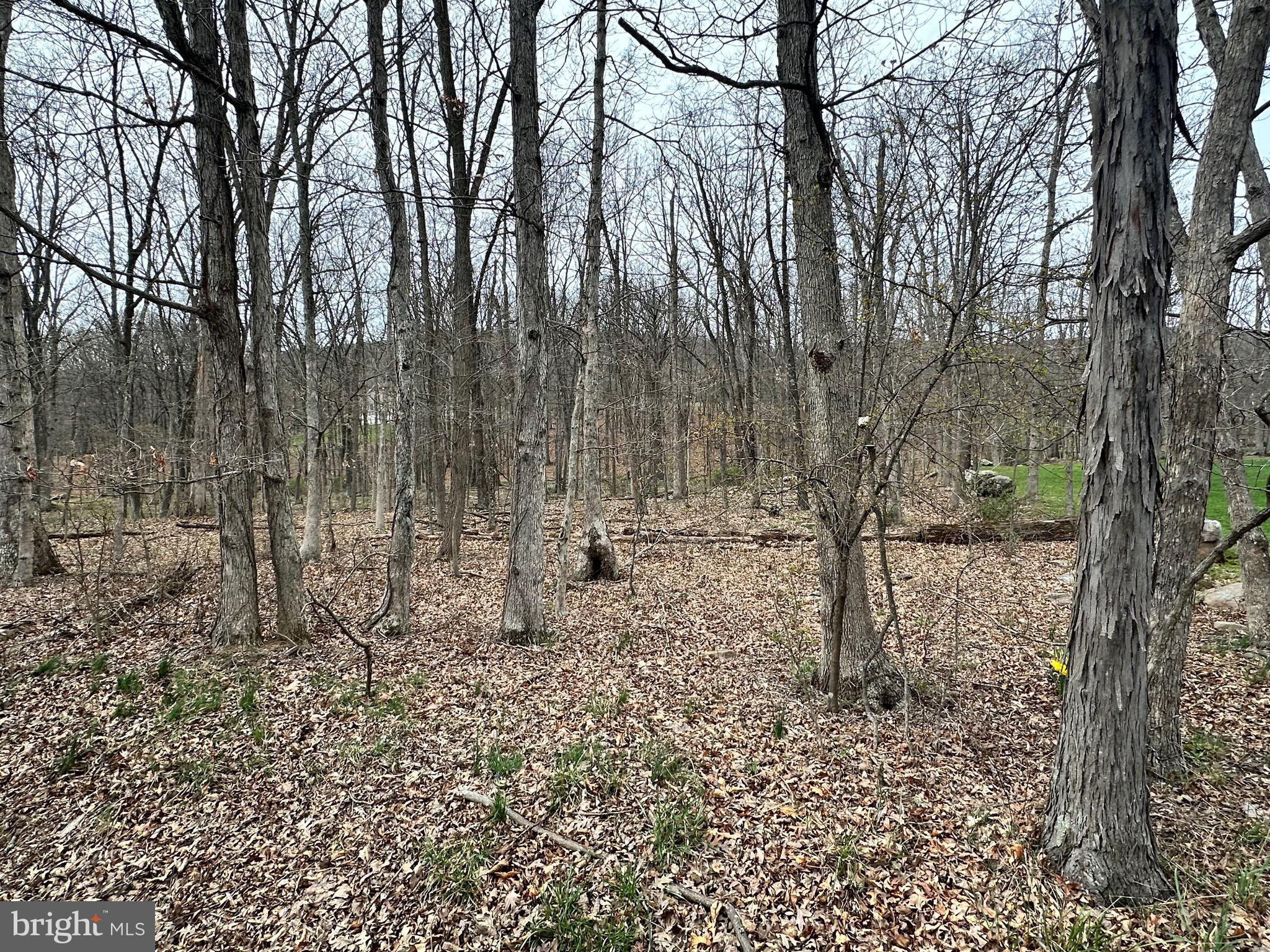 TIMBERLAKE ESTATES - Land