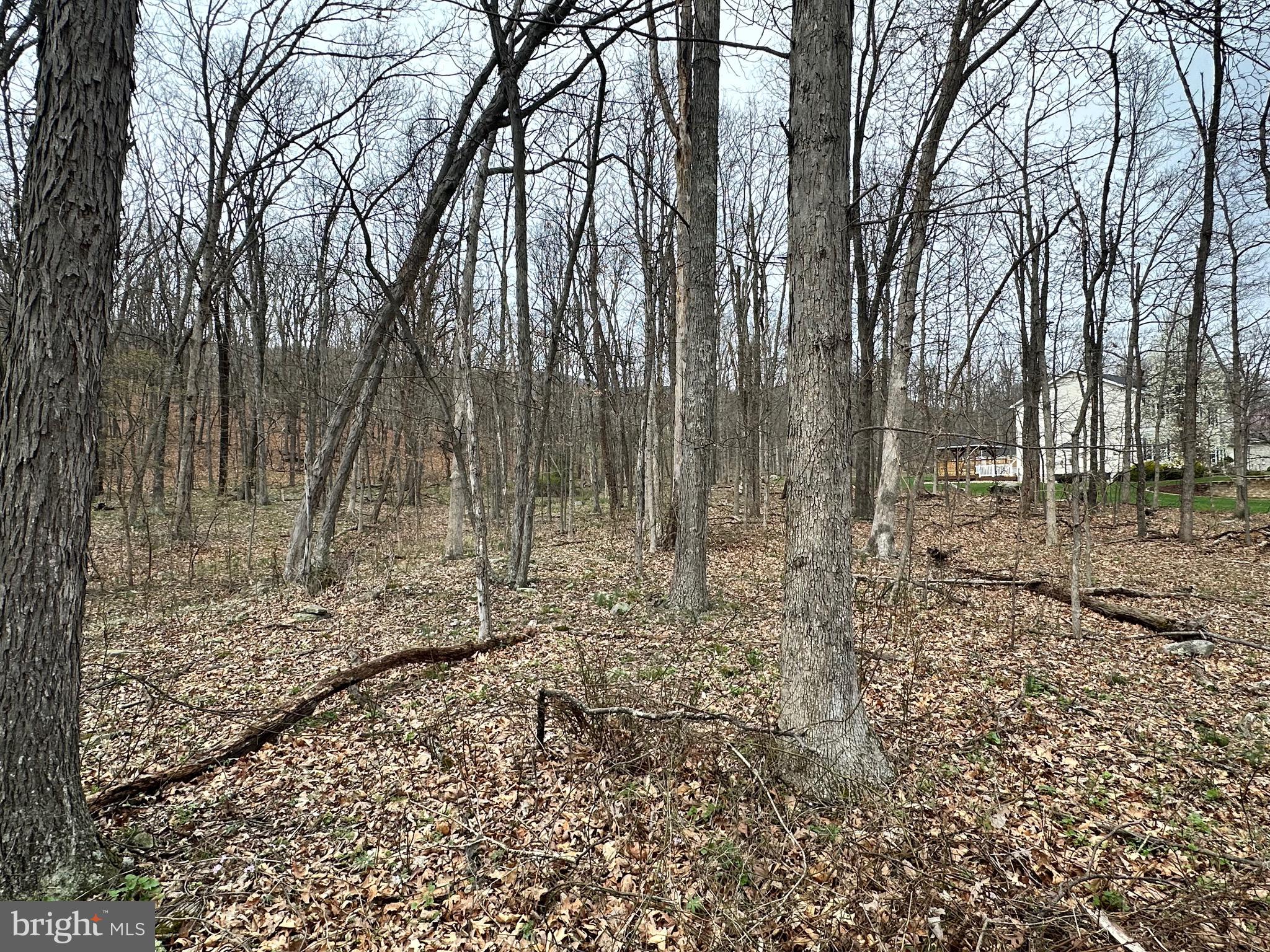 TIMBERLAKE ESTATES - Land