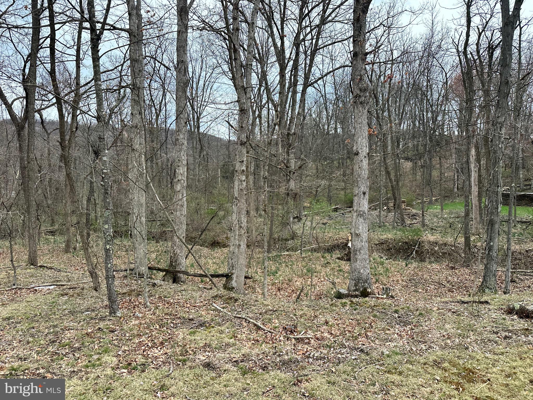 TIMBERLAKE ESTATES - Land