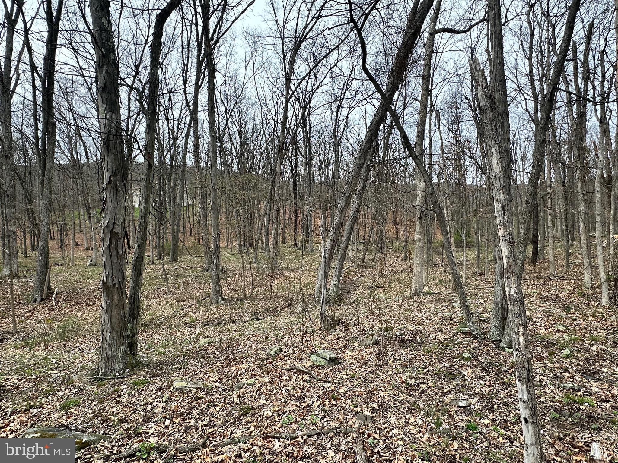 TIMBERLAKE ESTATES - Land