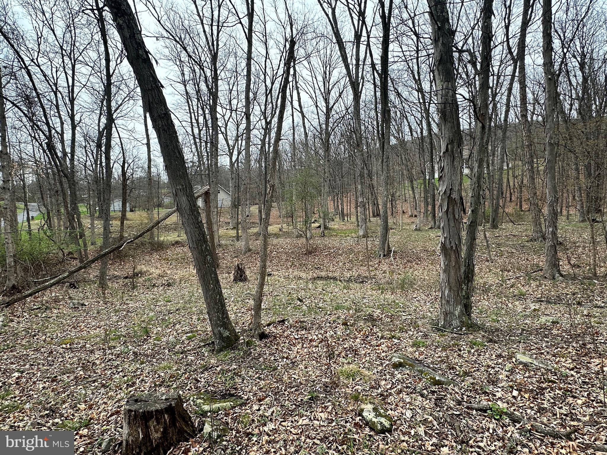 TIMBERLAKE ESTATES - Land