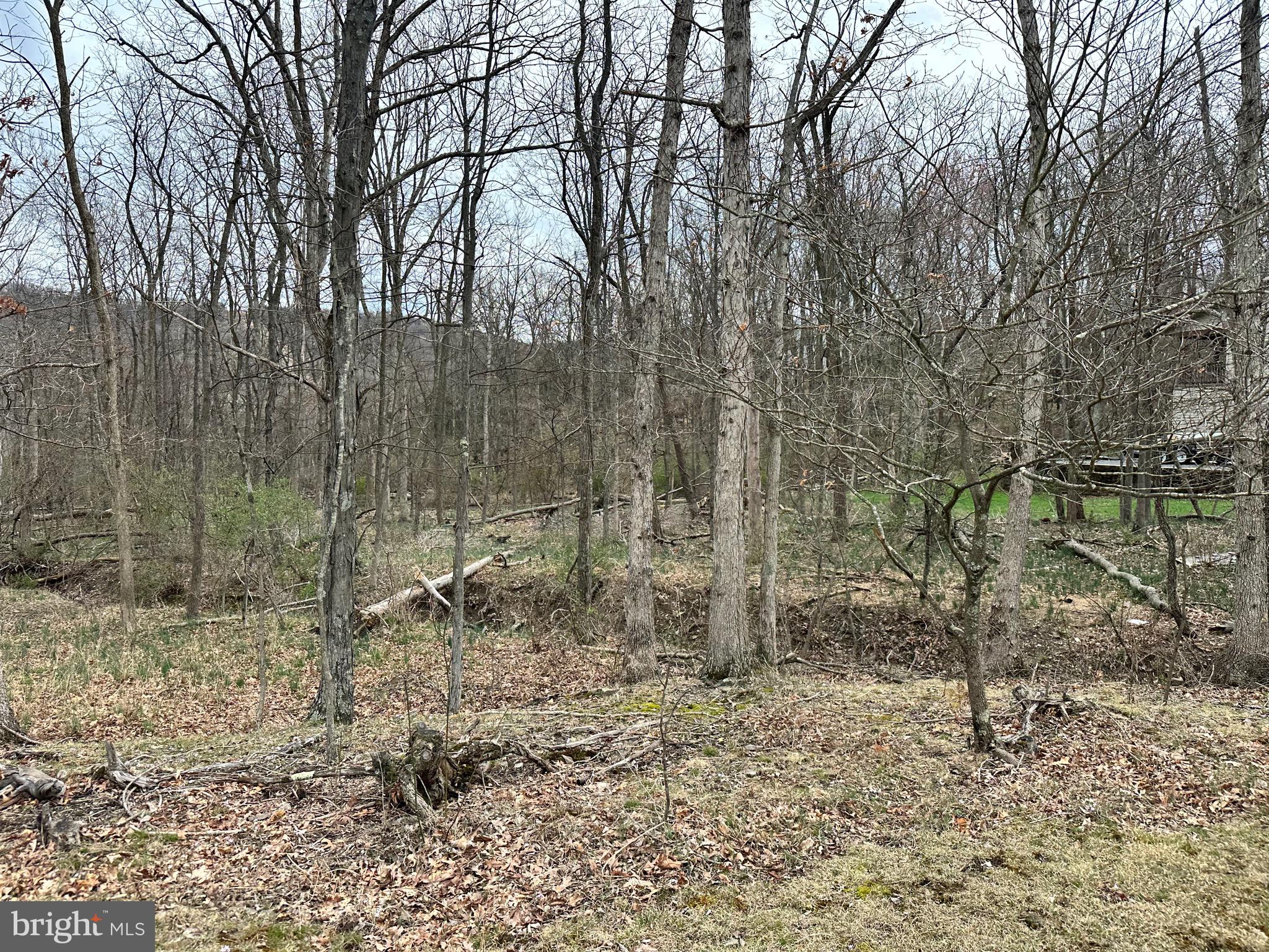 TIMBERLAKE ESTATES - Land