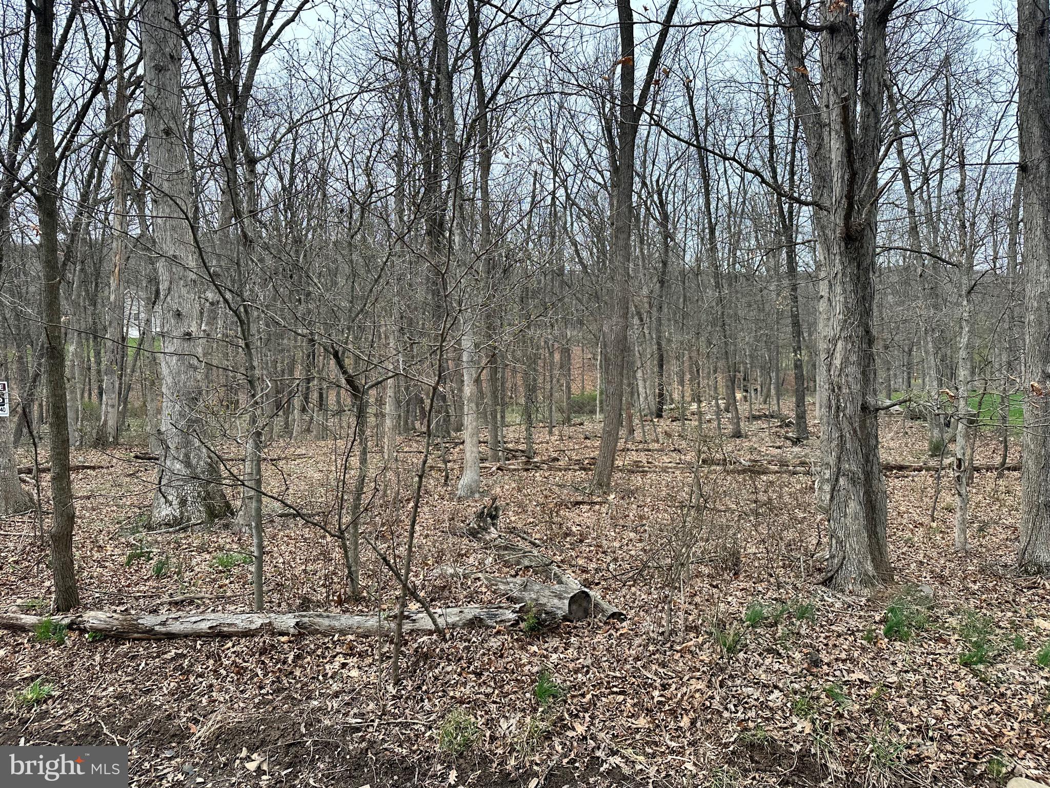 TIMBERLAKE ESTATES - Land