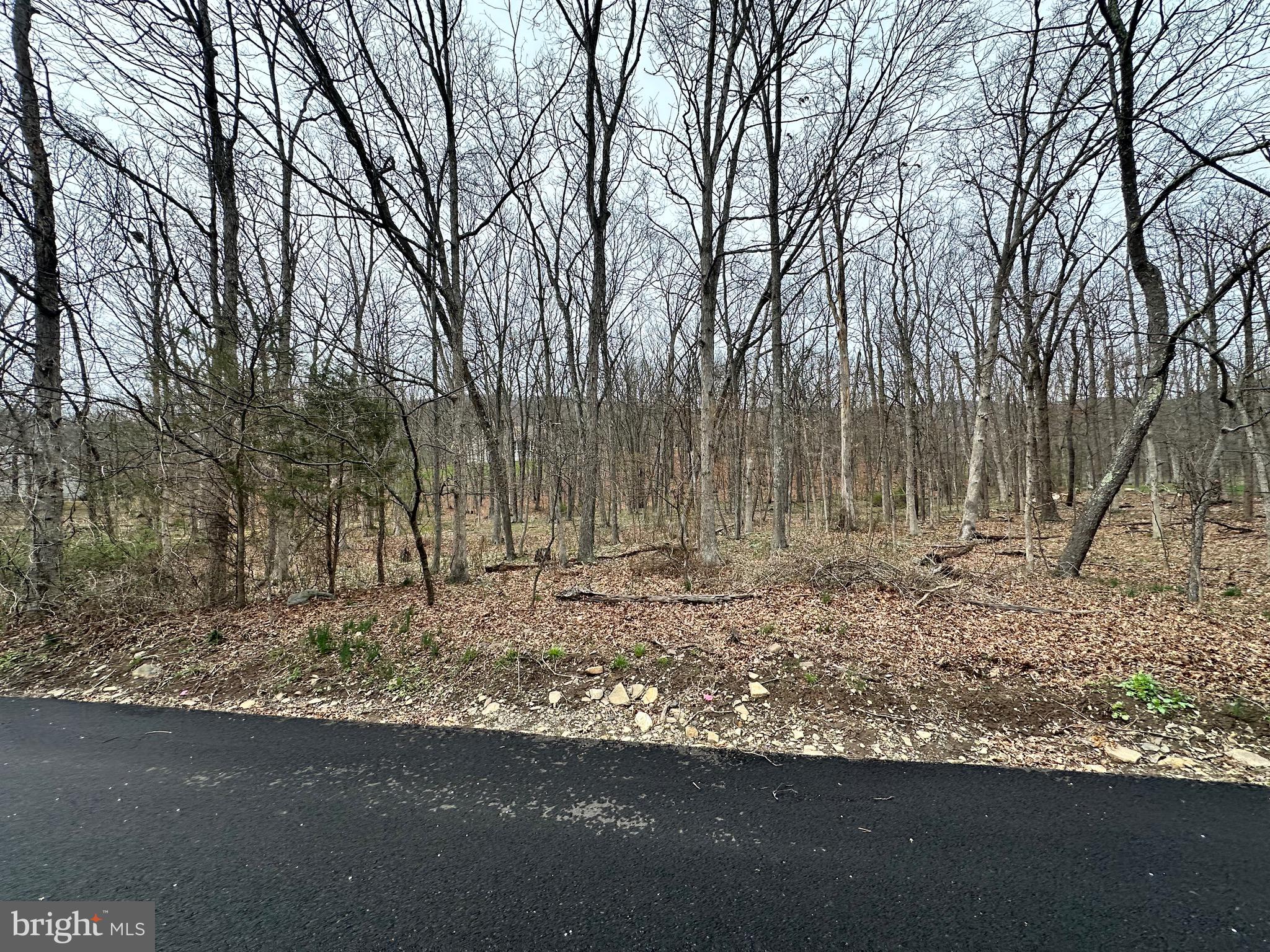 TIMBERLAKE ESTATES - Land