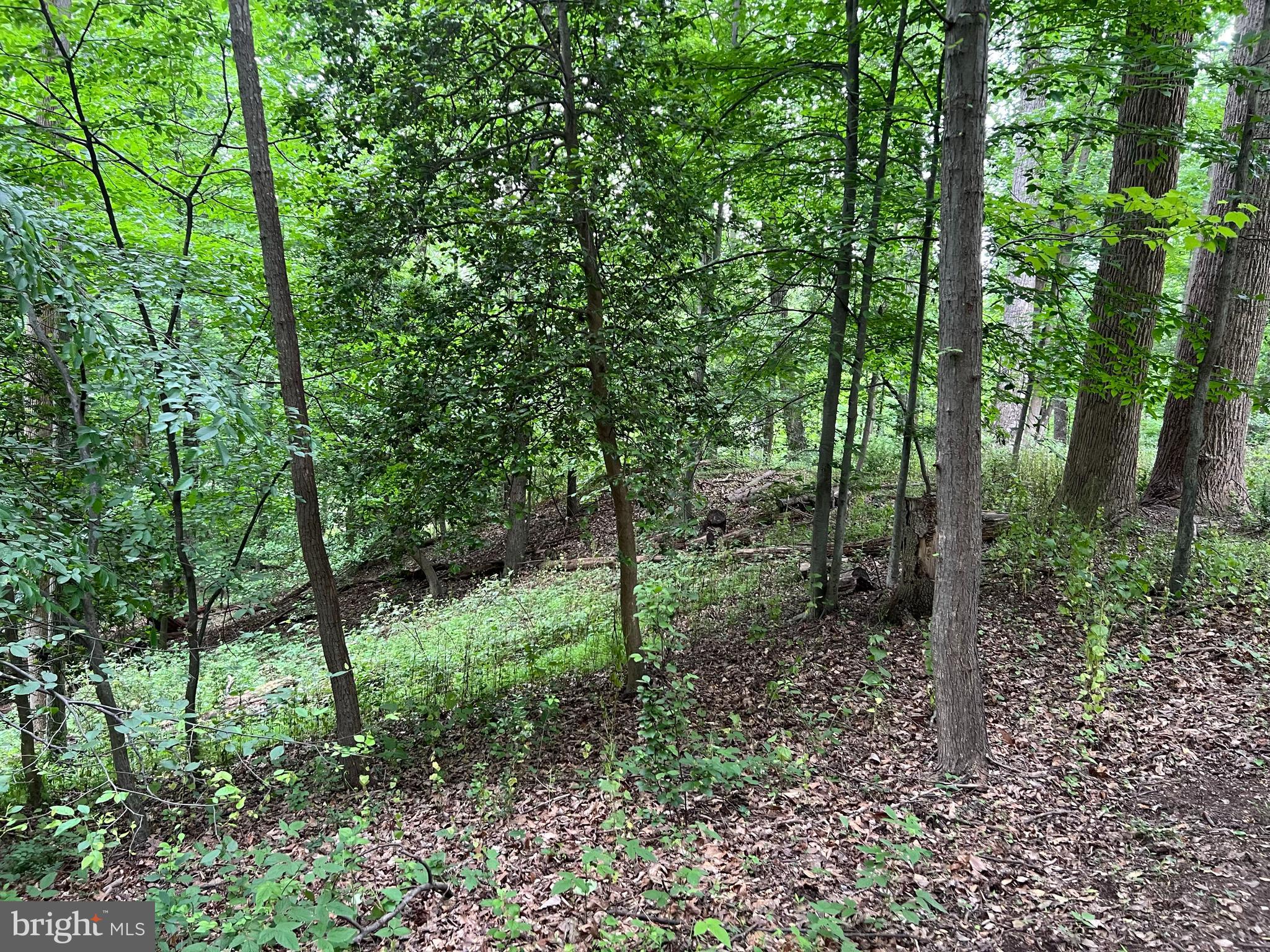 WOODHAVEN - Land
