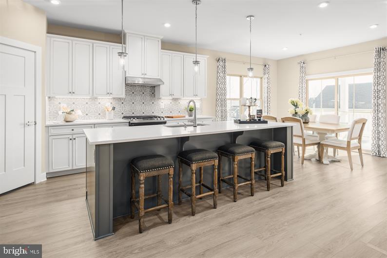 GREEN LANE MEADOWS - Residential