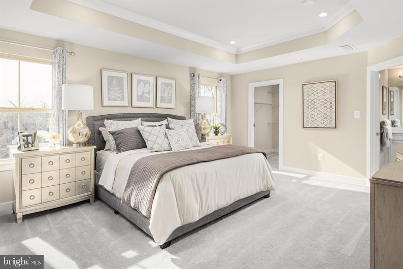 GREEN LANE MEADOWS - Residential