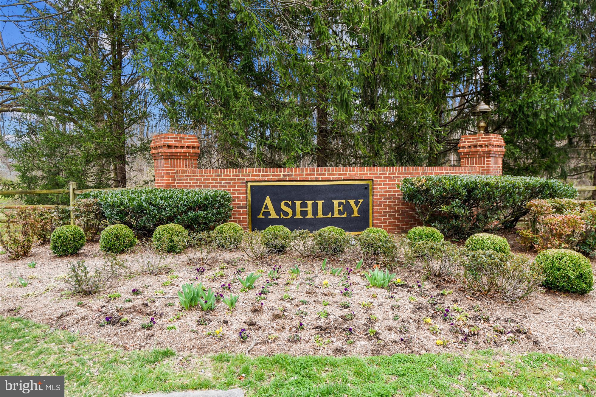 ASHLEY - Residential