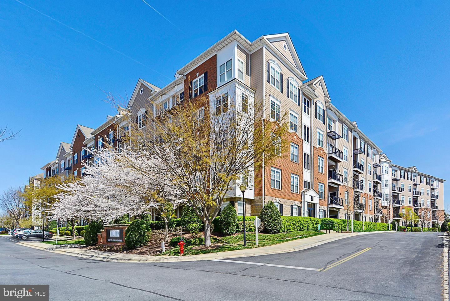 FITZ AT ROCKVILLE TOWN C - Residential