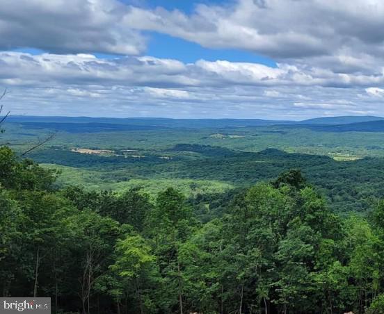 33 + acres with site preparation completed!!  The Views are spectacular!!  
Virginia is close by making this site commuter friendly and close to many amenities of the Eastern Panhandle area!  The driveway is established including constructed drainage, electrical conduit and cable have been buried ready for electric connection and the house site is cleared, and the septic has been installed.  Privacy and serenity, beautiful hardwoods with a variety of trees, rock formations and an abundance of wildlife to build your new home. The community is Equestrian friendly if desired.  The possibilities are endless!!  
No discharging of firearms allowed in this community.