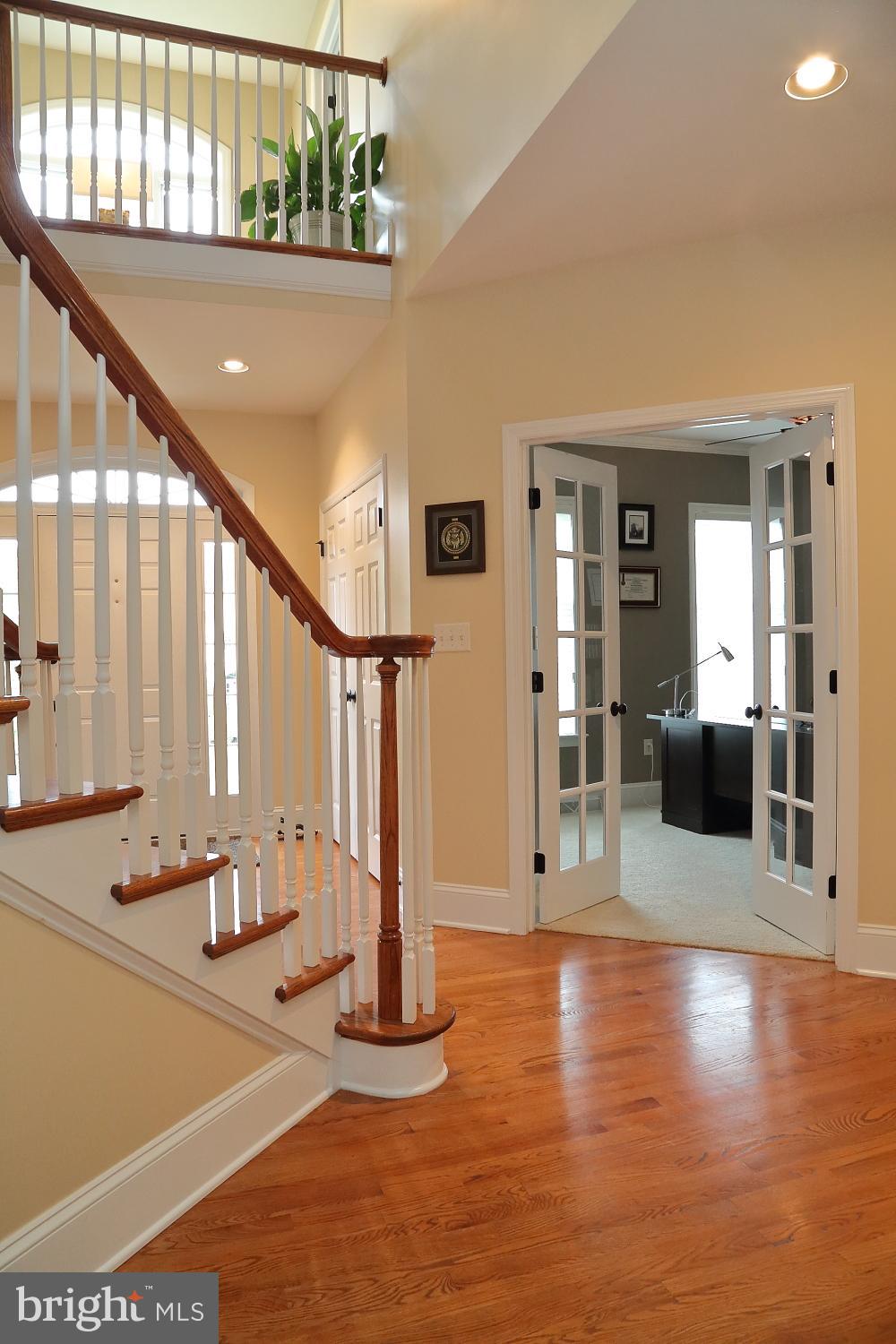 THE MEADOWS - Residential