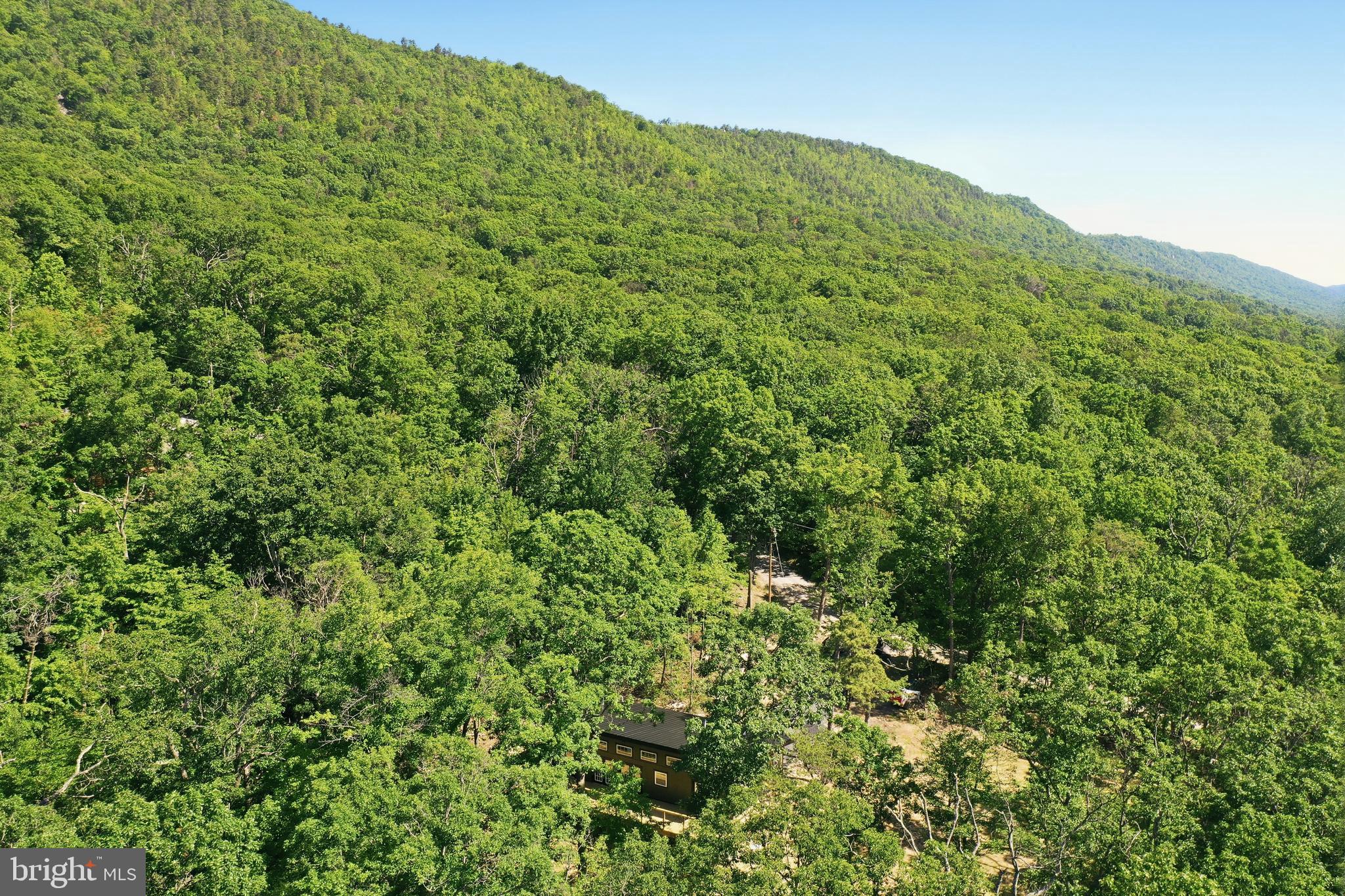 MASSANUTTEN FOREST - Residential