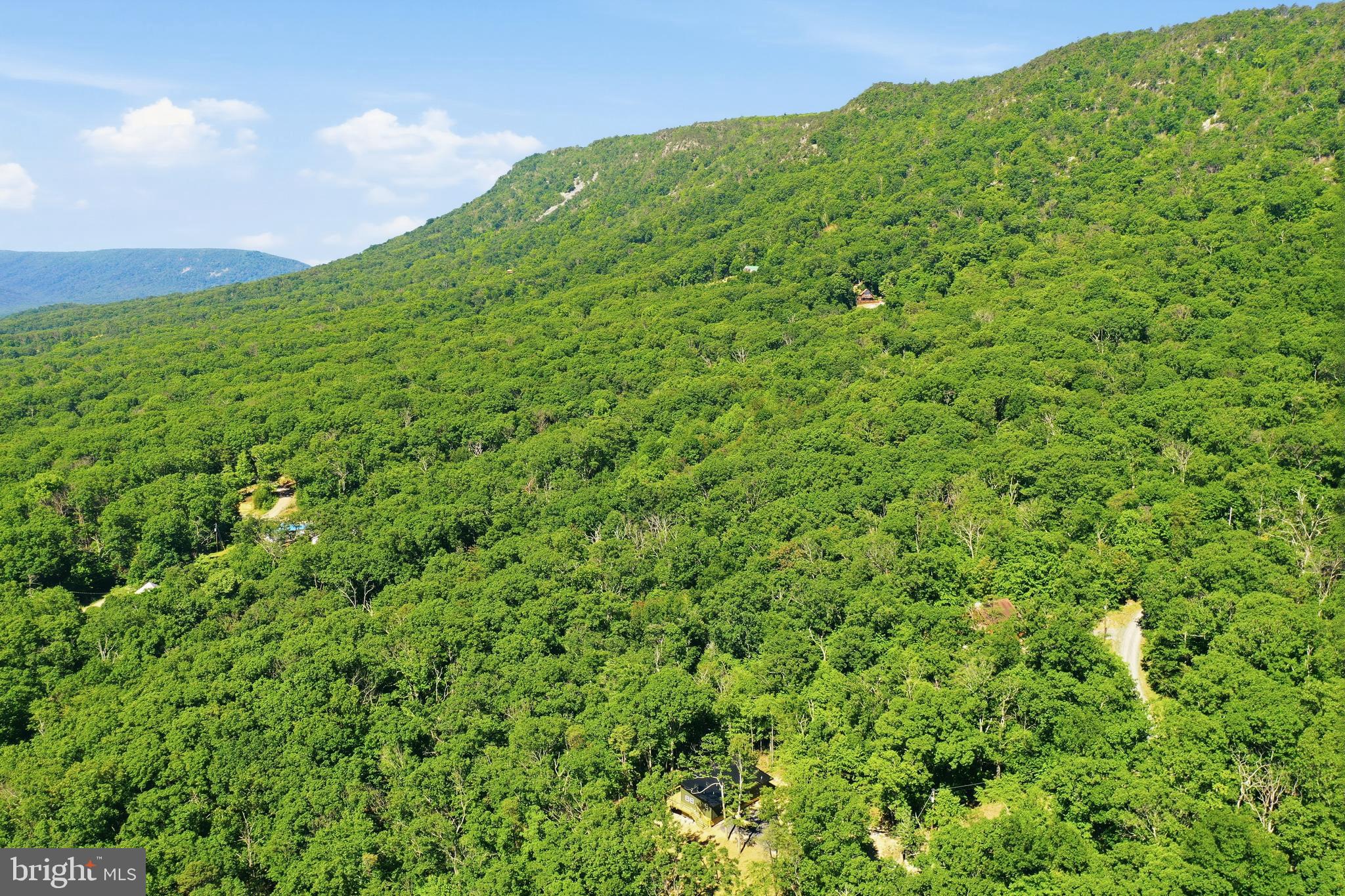 MASSANUTTEN FOREST - Residential
