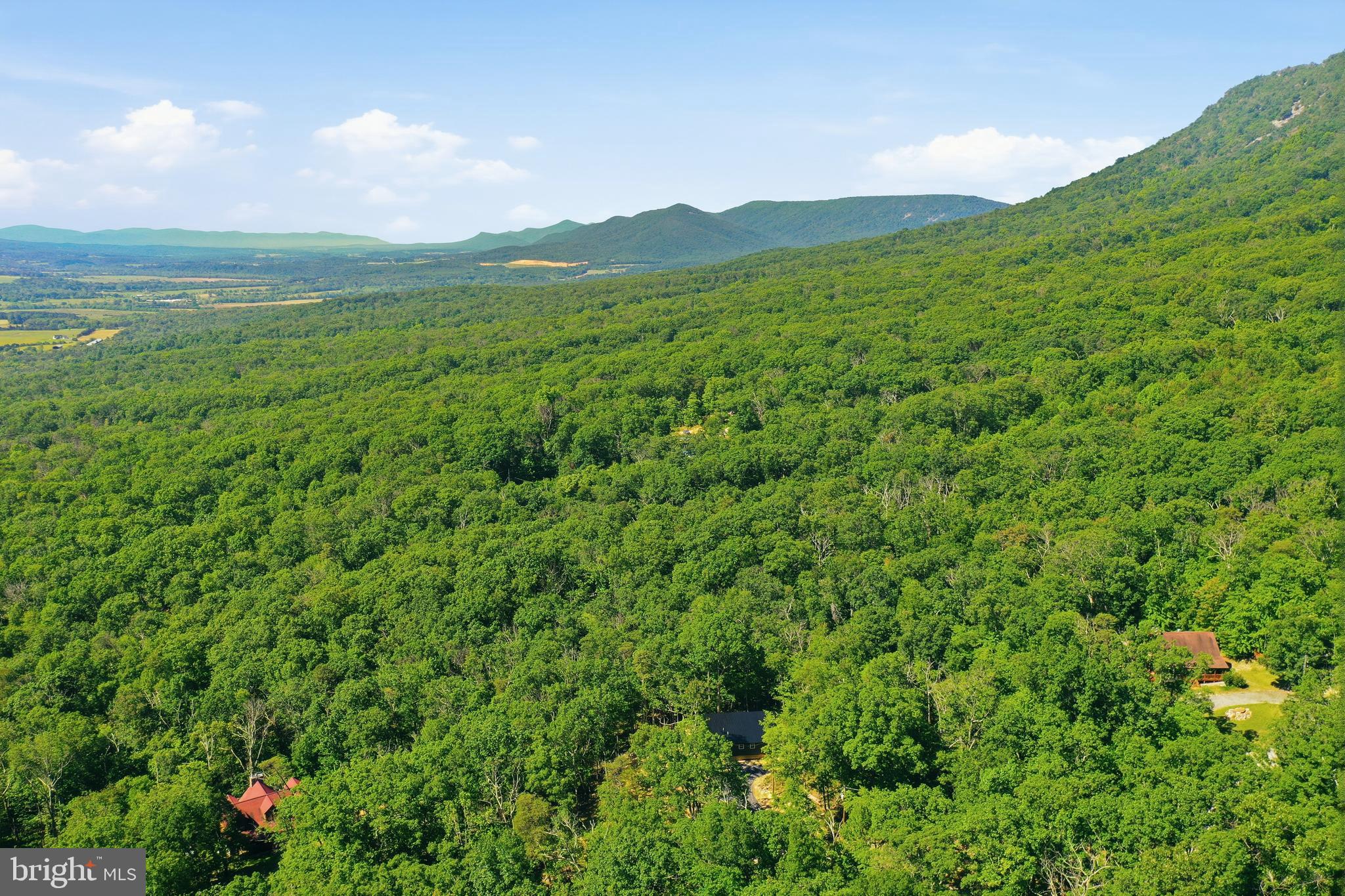 MASSANUTTEN FOREST - Residential
