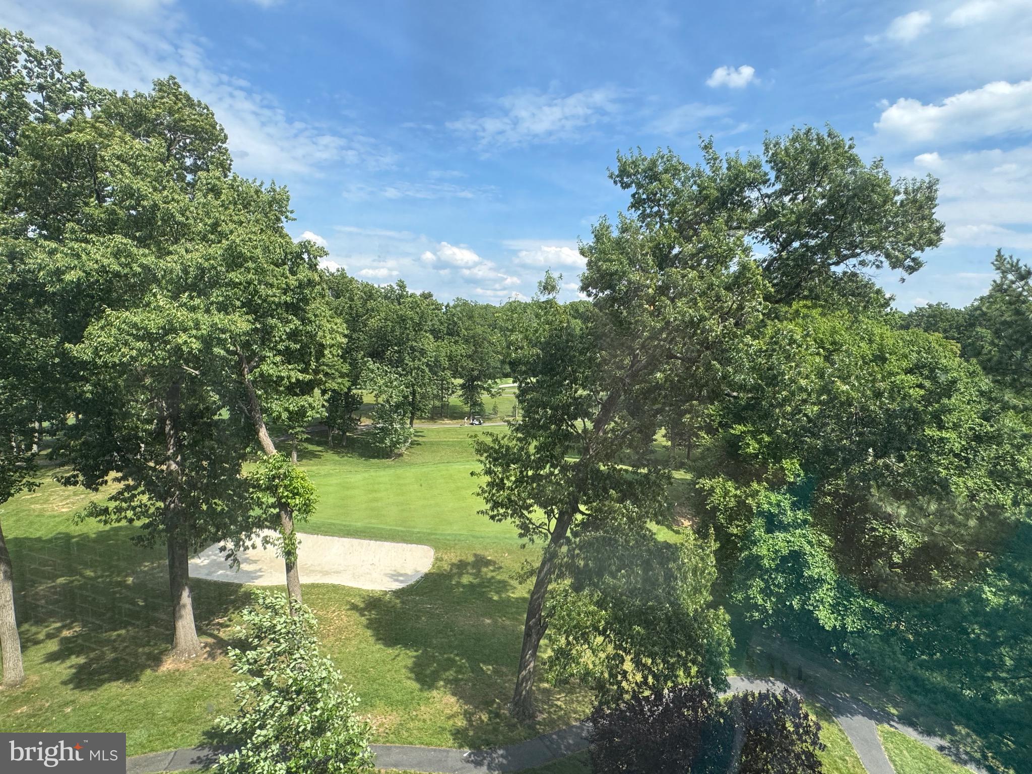 GREENS AT LEISURE WORLD - Residential