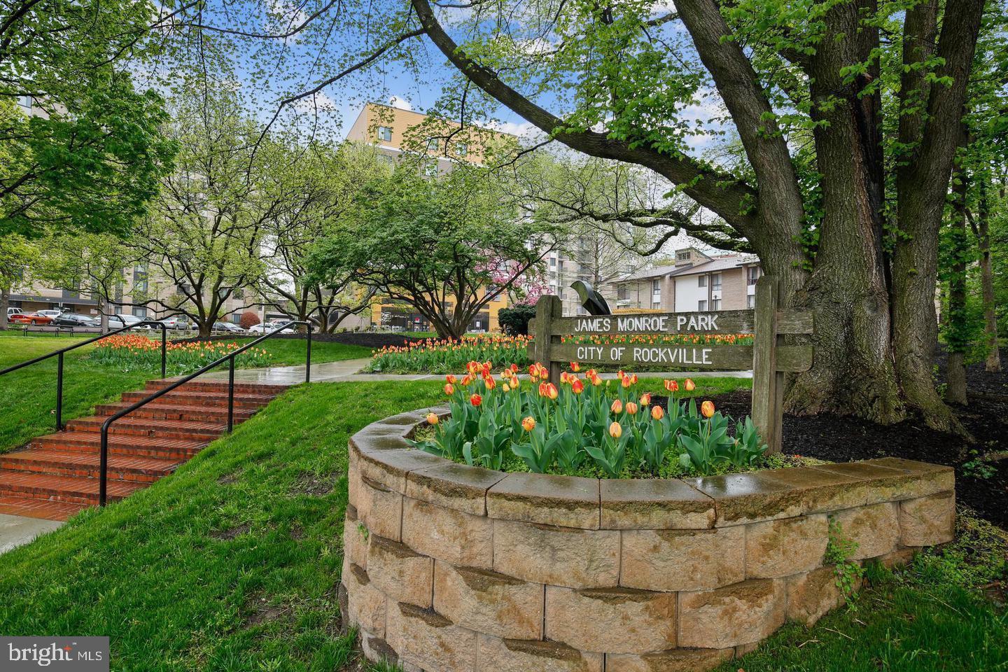 AMERICANA CENTRE - Residential