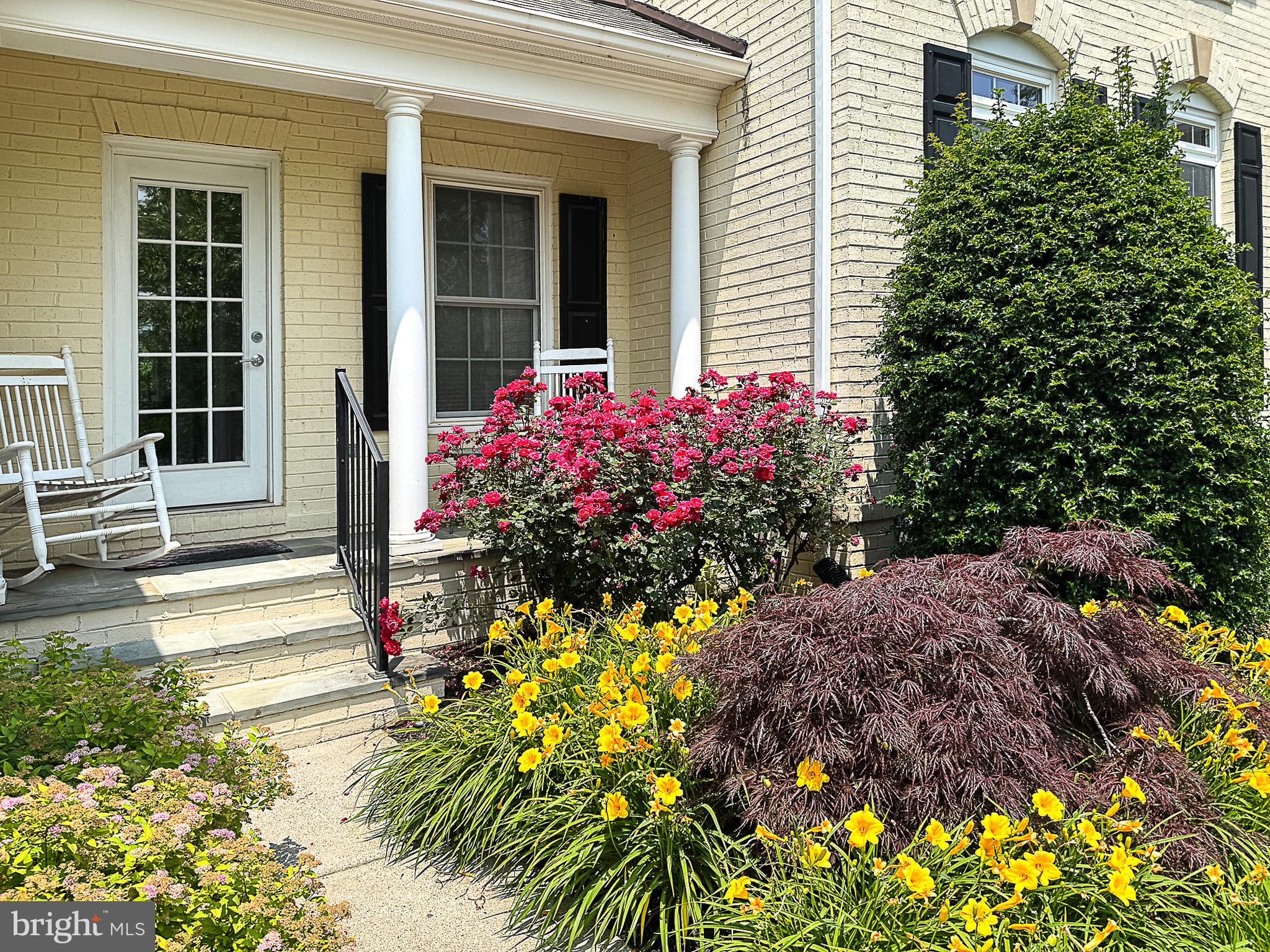RED CEDAR - Residential