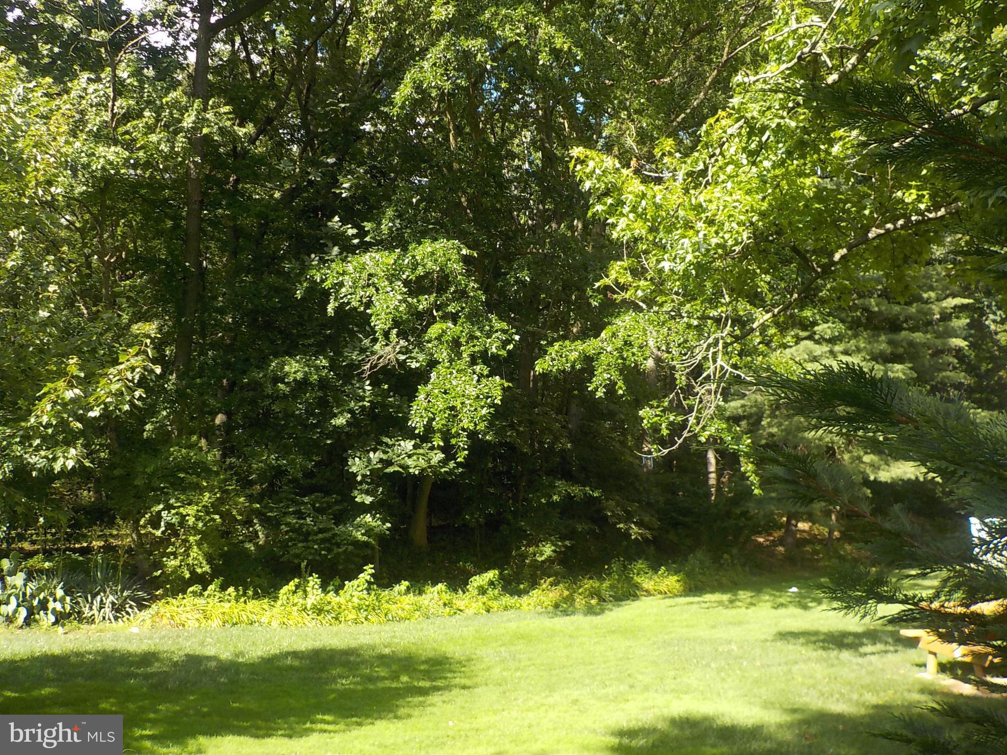 ESSEX - Residential