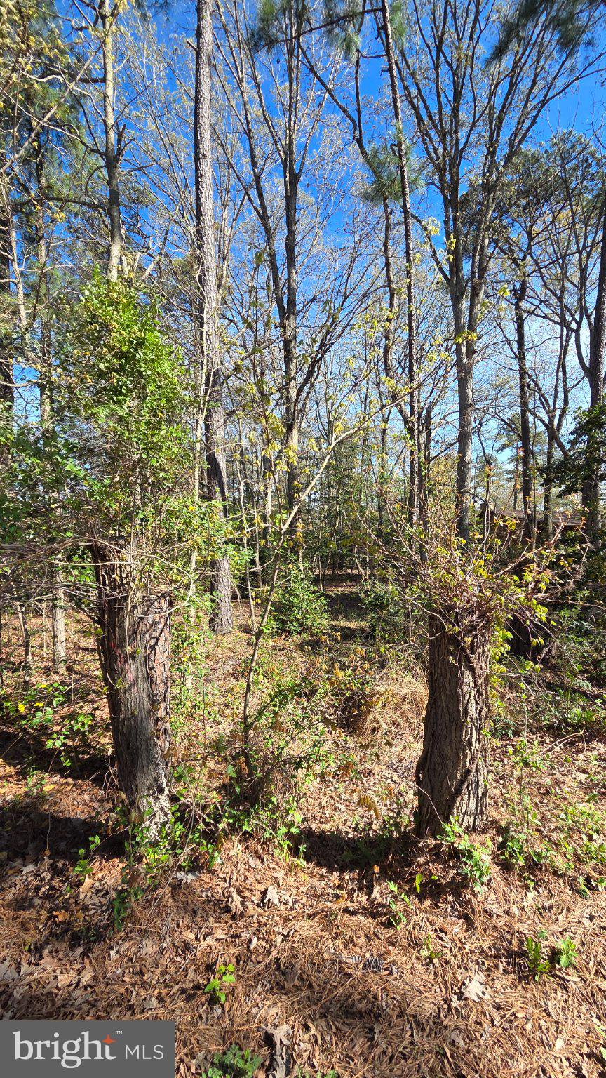 This prime residential land parcel, located in the desirable ROMANCOKE ON THE BAY subdivision in Stevensville, MD, offers a unique investment or building opportunity with significant potential for appreciation. Spanning 0.56 acres, this corner lot features wooded areas, providing both privacy and a natural aesthetic that enhances the property's overall appeal. 
Strategically positioned just about four blocks from the picturesque Eastern Bay, this lot benefits from proximity to water-oriented activities without the premium of direct waterfront ownership. Investors can capitalize on the growing demand for properties near water bodies, making this an attractive option for future development. 
The community amenities are a standout feature, including a boat ramp, clubhouse, picnic area, and jogging/walking paths. These facilities not only enhance the quality of life for residents but also increase the property's desirability to potential buyers or renters. With super low association fees, investors can enjoy the benefits of community amenities without the burden of high costs. 
The lot's corner location alongside the South Kent Island walking path provides ample privacy and accessibility, which can be advantageous for future residential building projects. 
The surrounding area is poised for growth, making this property an excellent long-term investment. As demand for residential properties near water continues to rise, this lot presents a compelling opportunity for those looking to enter the real estate market or expand their portfolio. 
In summary, this 0.56-acre corner lot in ROMANCOKE ON THE BAY is not just a piece of land; it's a strategic investment in a thriving community with abundant amenities and proximity to Eastern Bay. With the potential for appreciation and the appeal of a water-oriented lifestyle, this property is a must-consider for savvy investors looking to maximize their returns or those seeking to build their dream home.