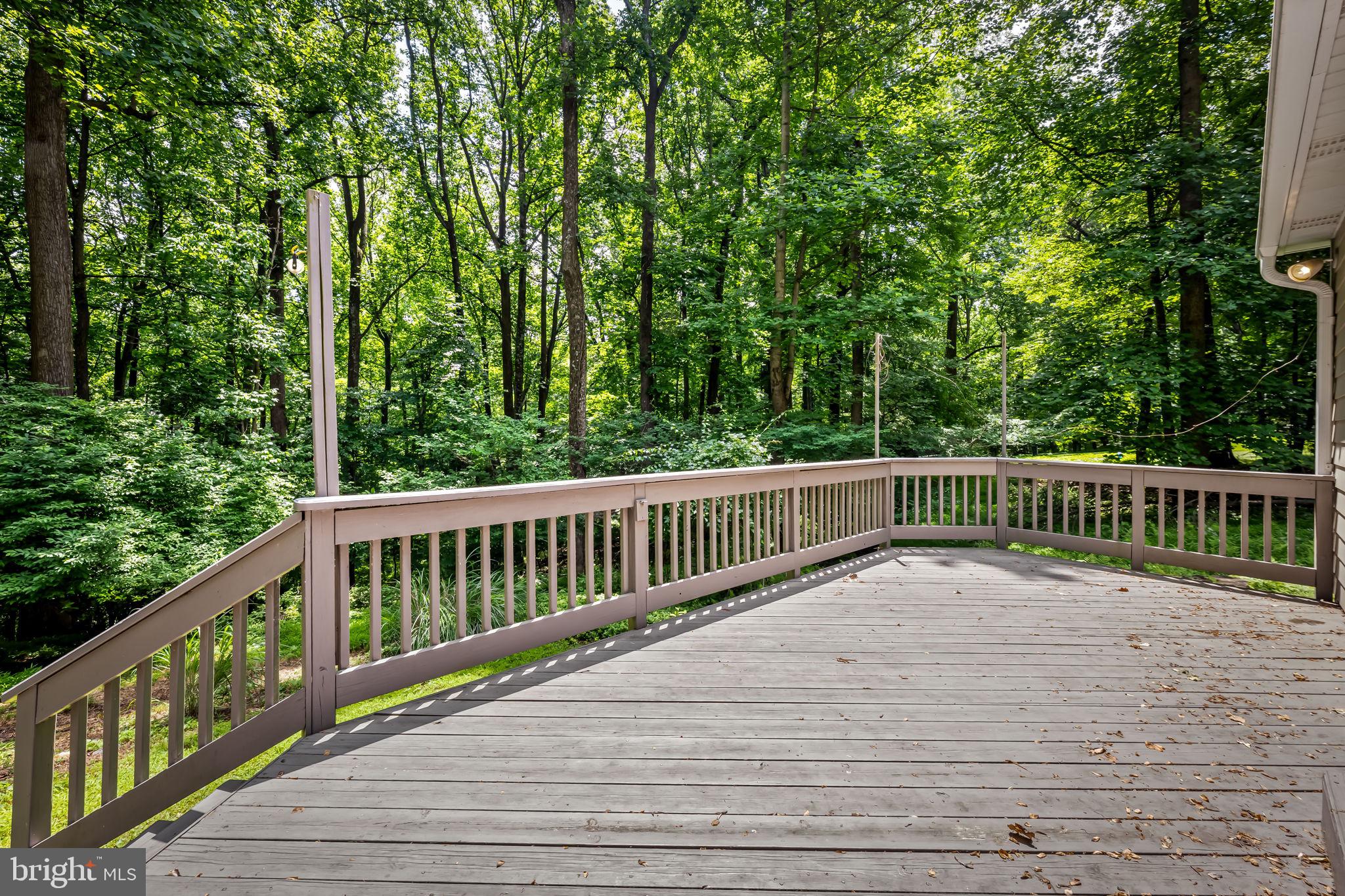 SAGAMORE FOREST - Residential