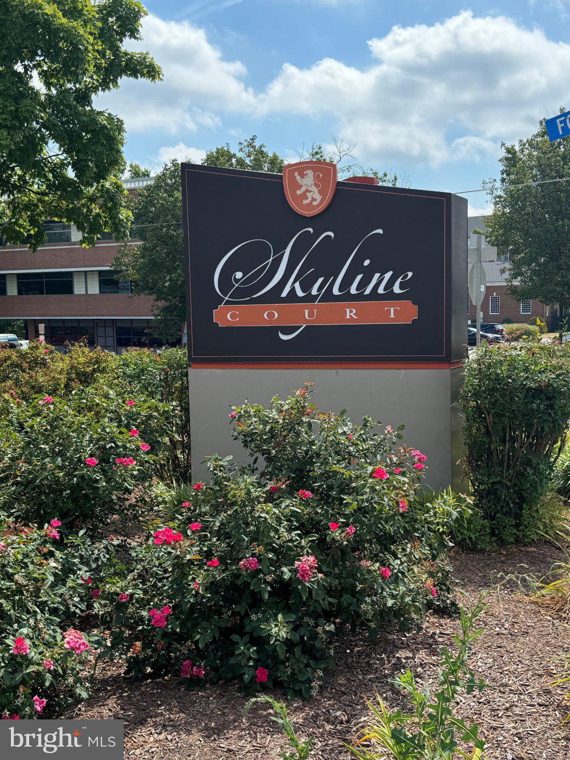 SKYLINE COURTS - Commercial Sale