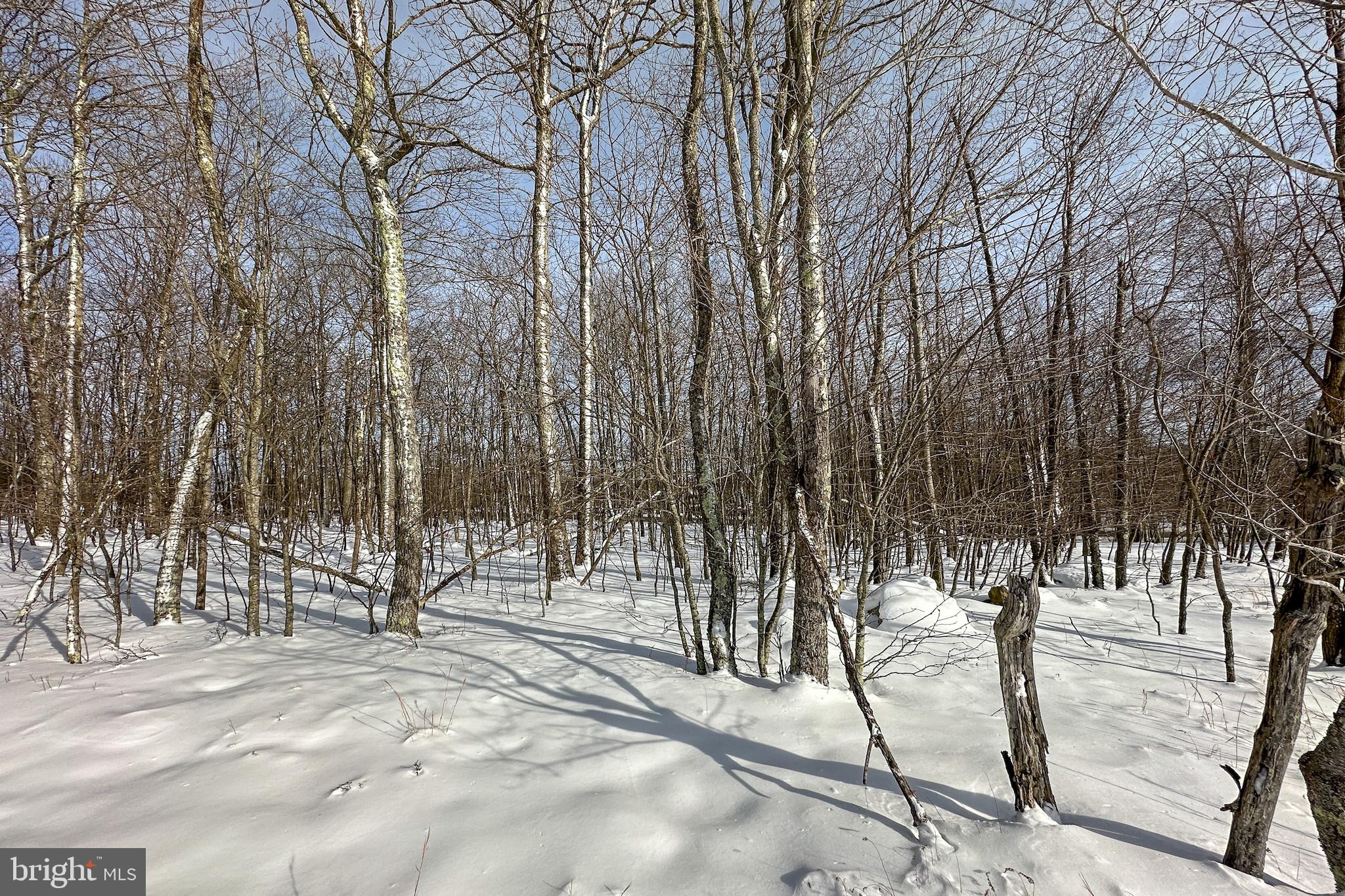 HIGHLINE - Land