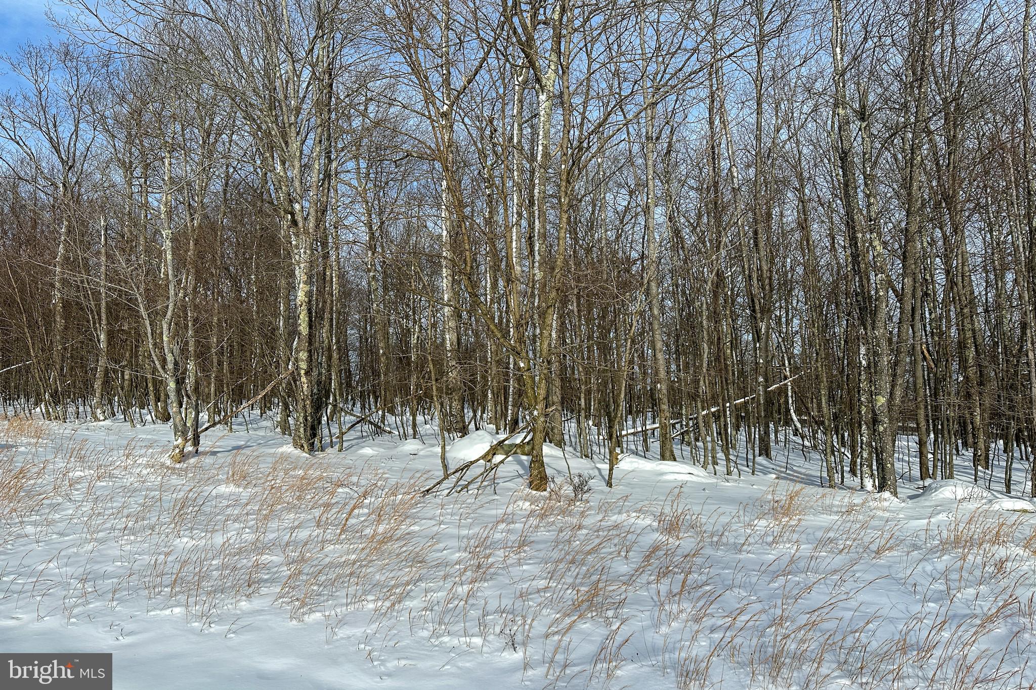 HIGHLINE - Land