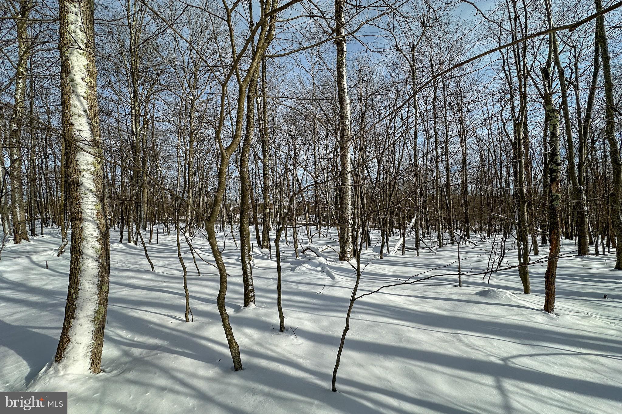 HIGHLINE - Land