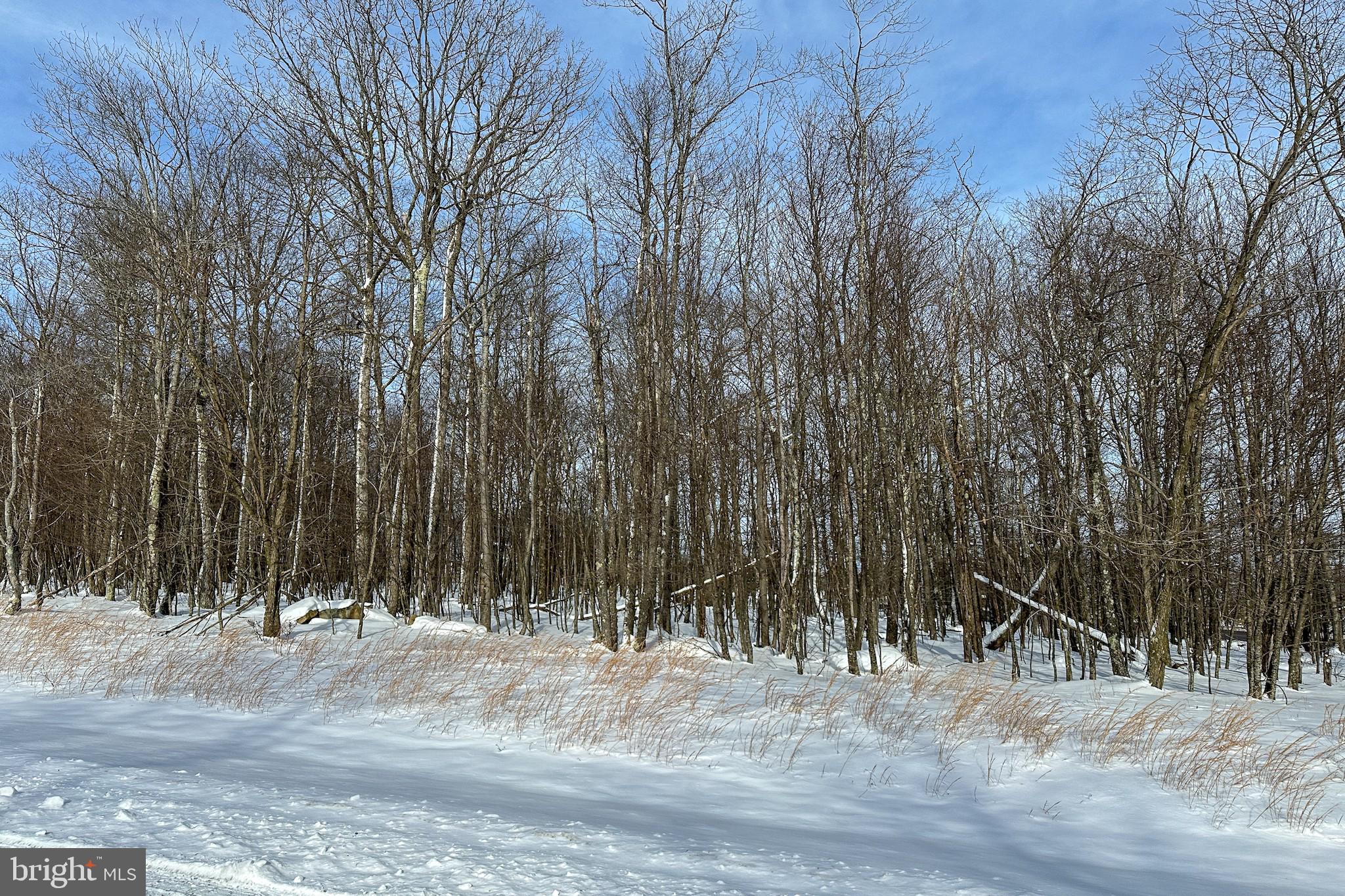 HIGHLINE - Land